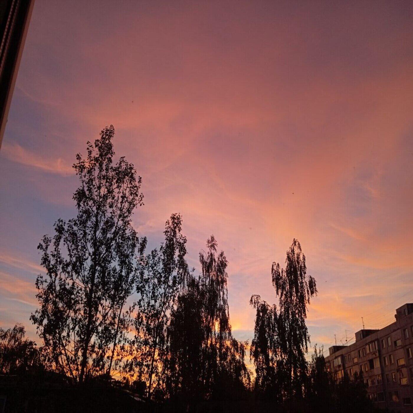 Релиз ПСИХОЛОГИ