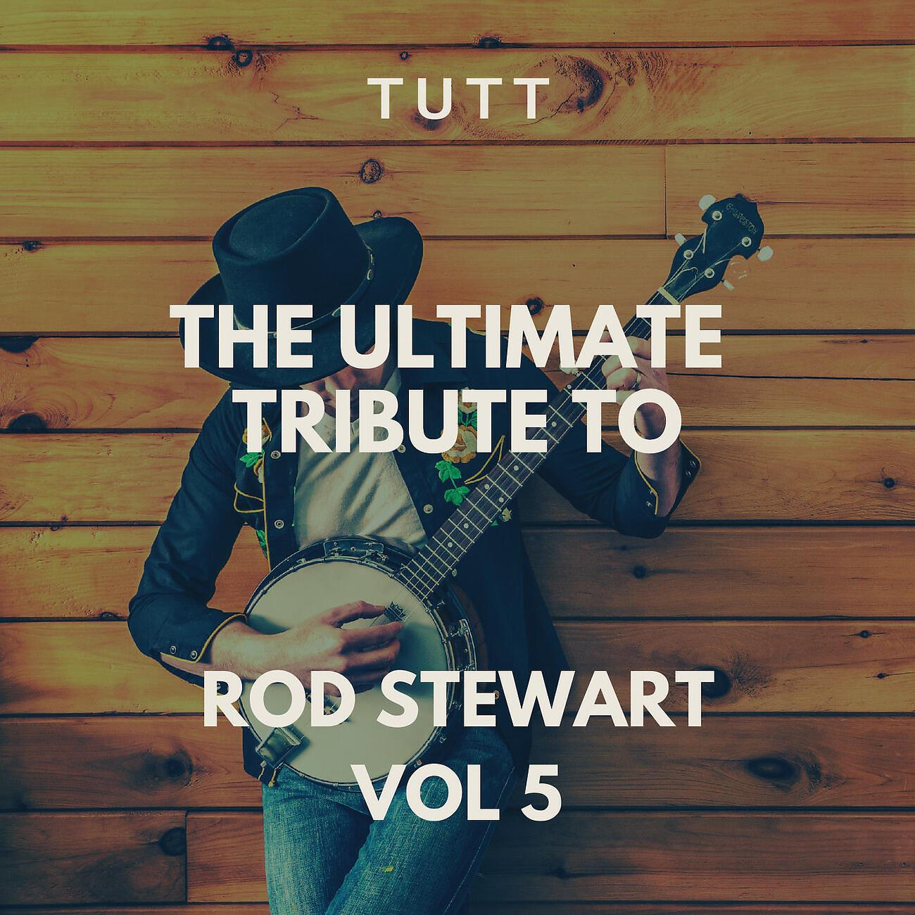 Релиз The Ultimate Tribute To Rod Stewart Vol 5