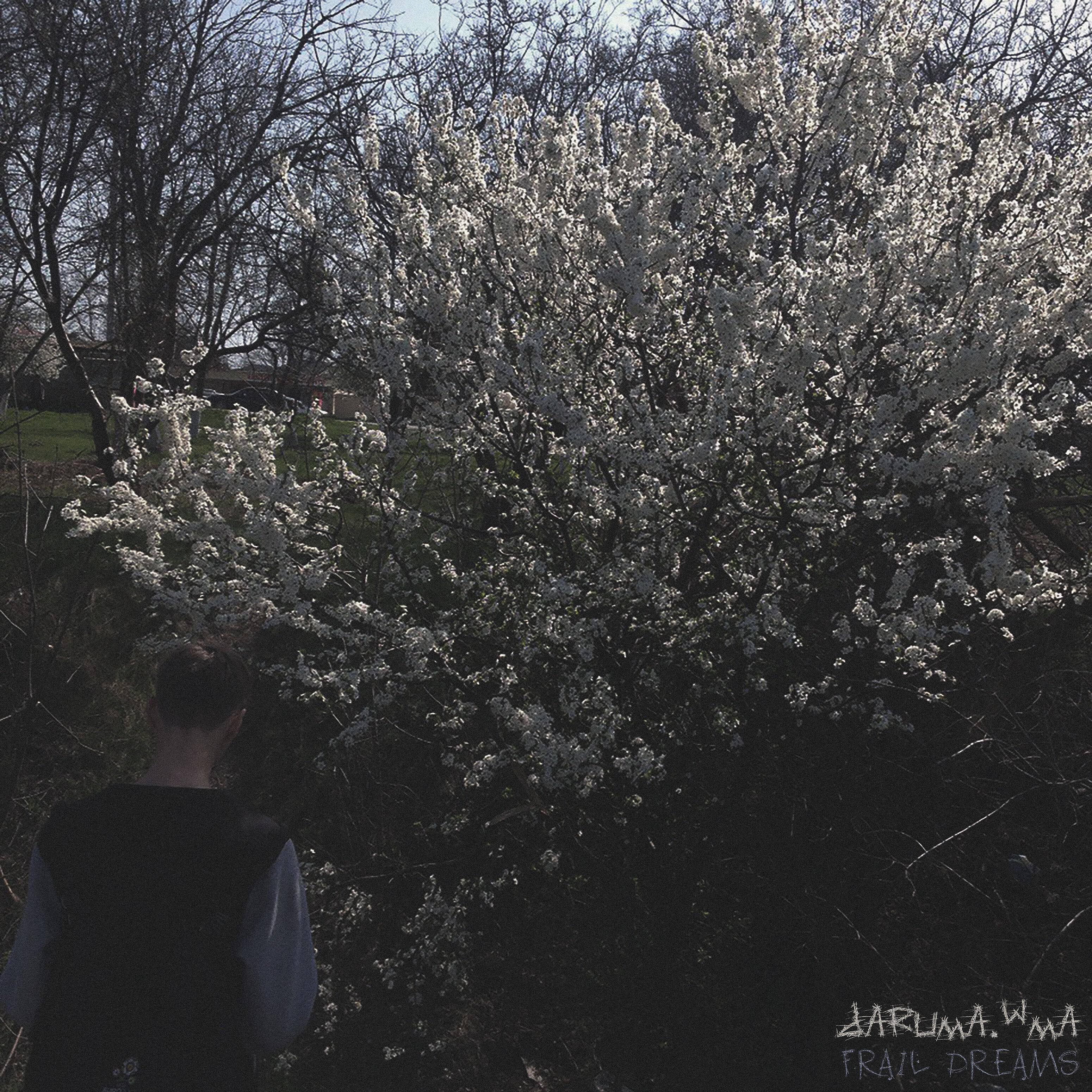 Релиз Frail Dreams