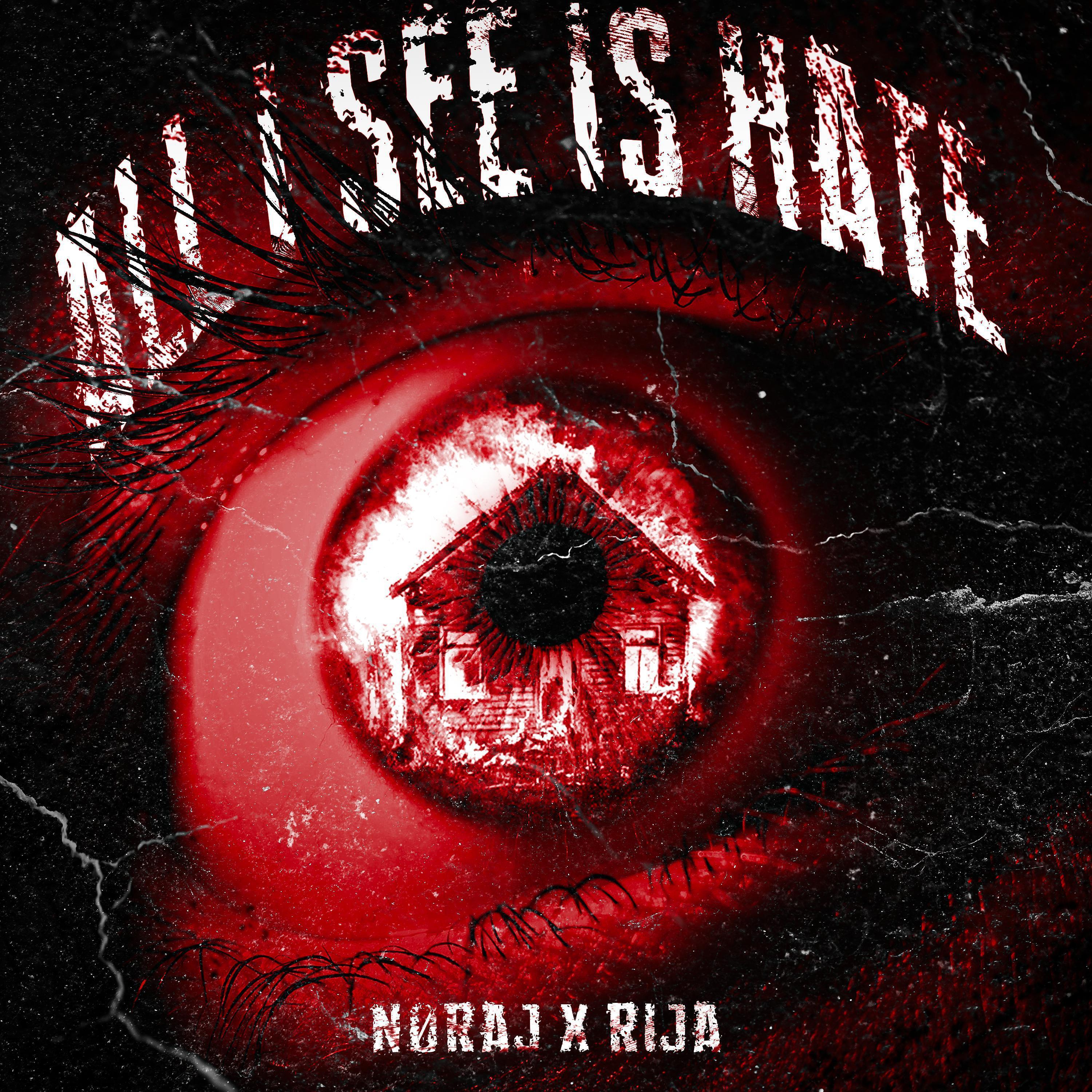 Релиз ALL I SEE IS HATE