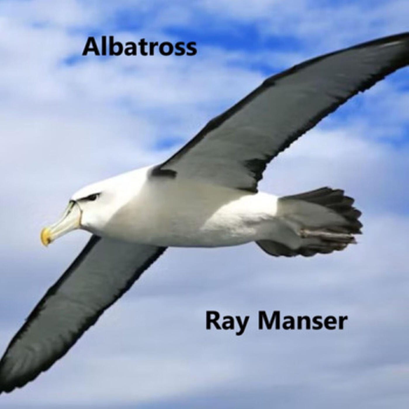 Релиз Albatross