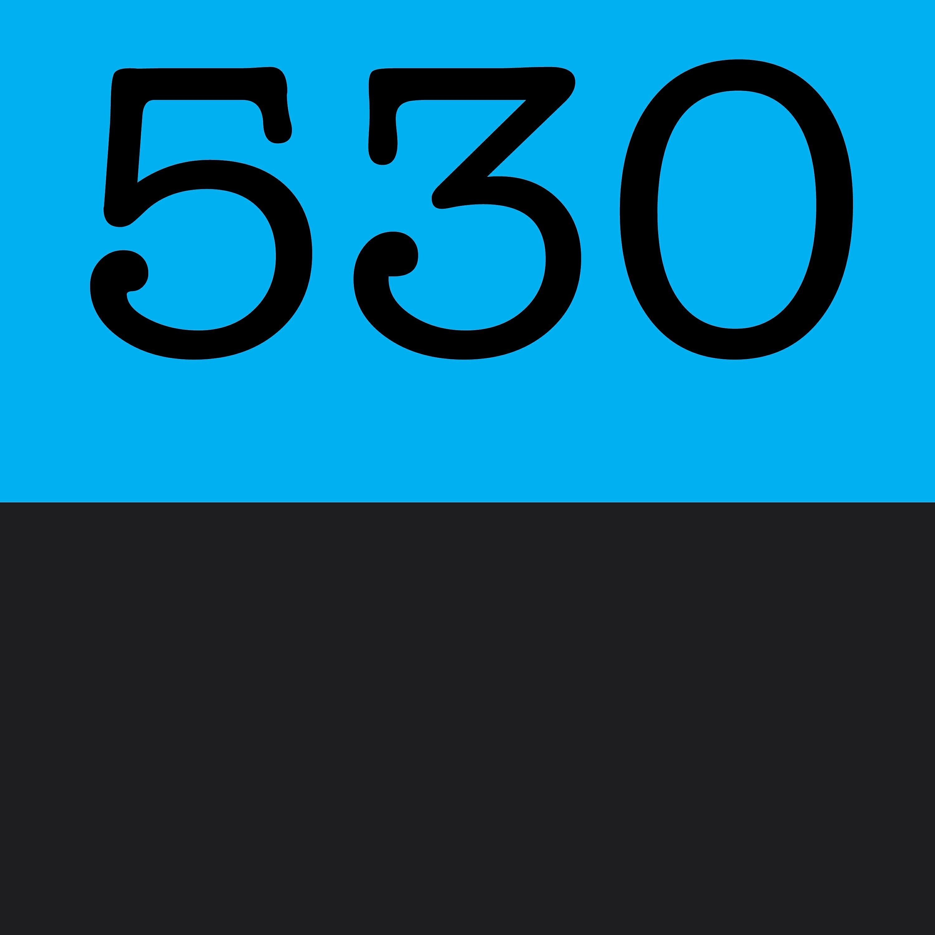 Постер альбома 530