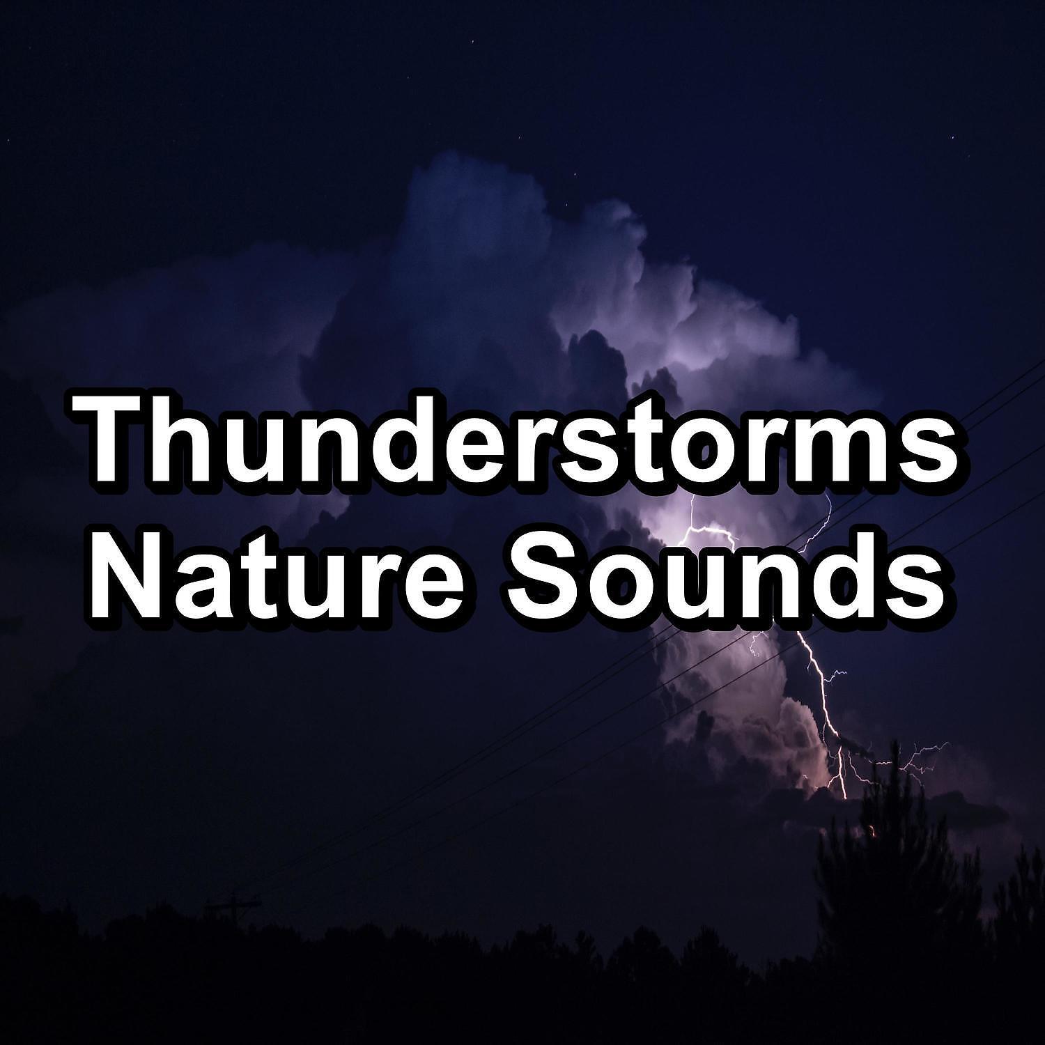 Релиз Thunderstorms Nature Sounds