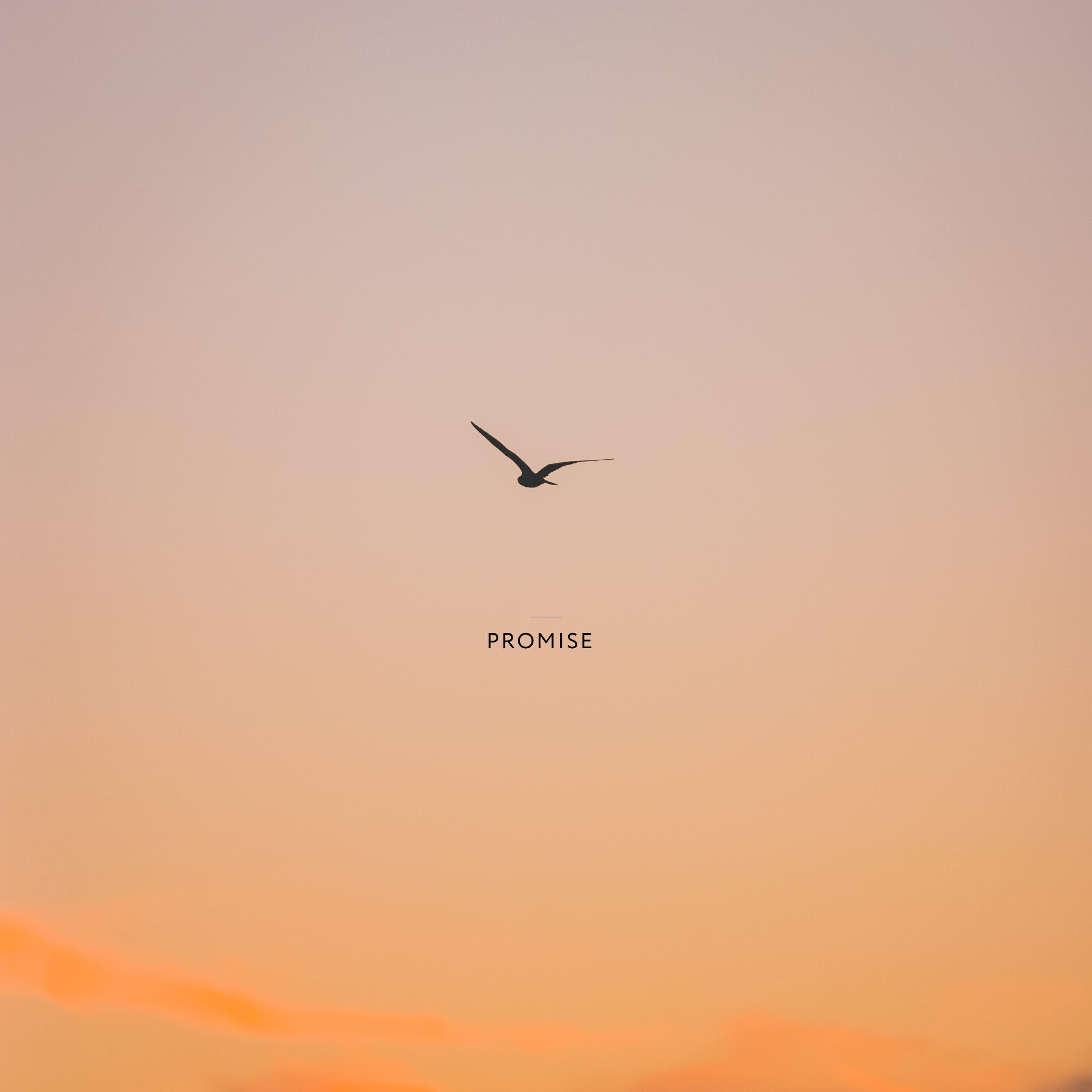 Релиз Promise