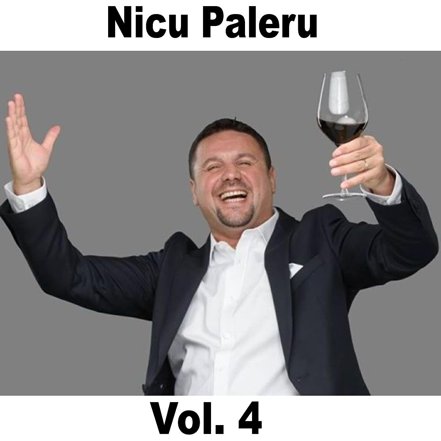 Скачать песню Nicu Paleru - Crasmarita, Hai Mai Da-Mi O Sticla! бесплатно в MP3 для Android и iOS
