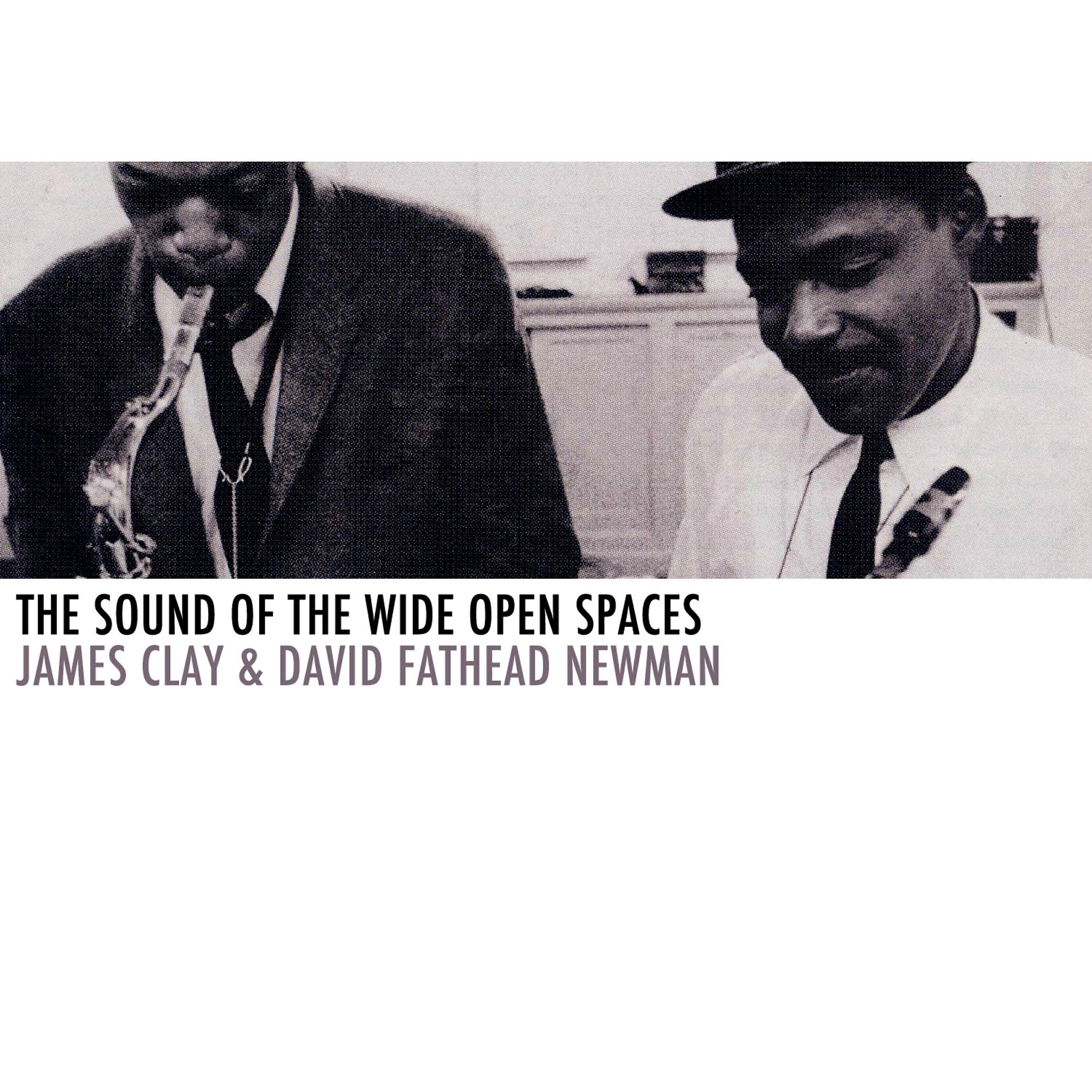 Релиз The Sound of the Wide Open Spaces