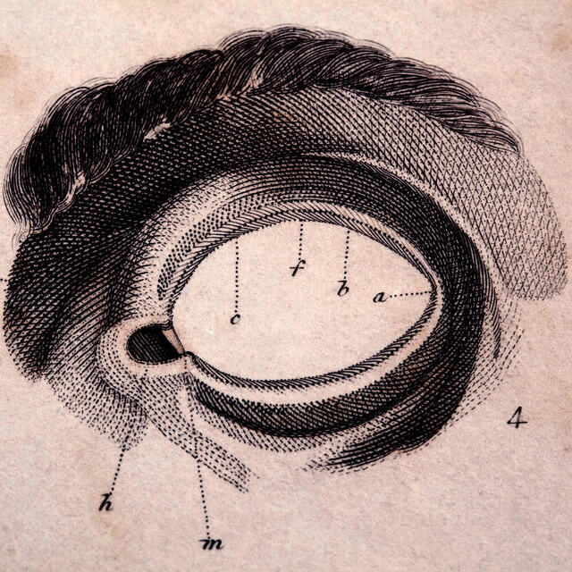 Релиз The Mind's Eye