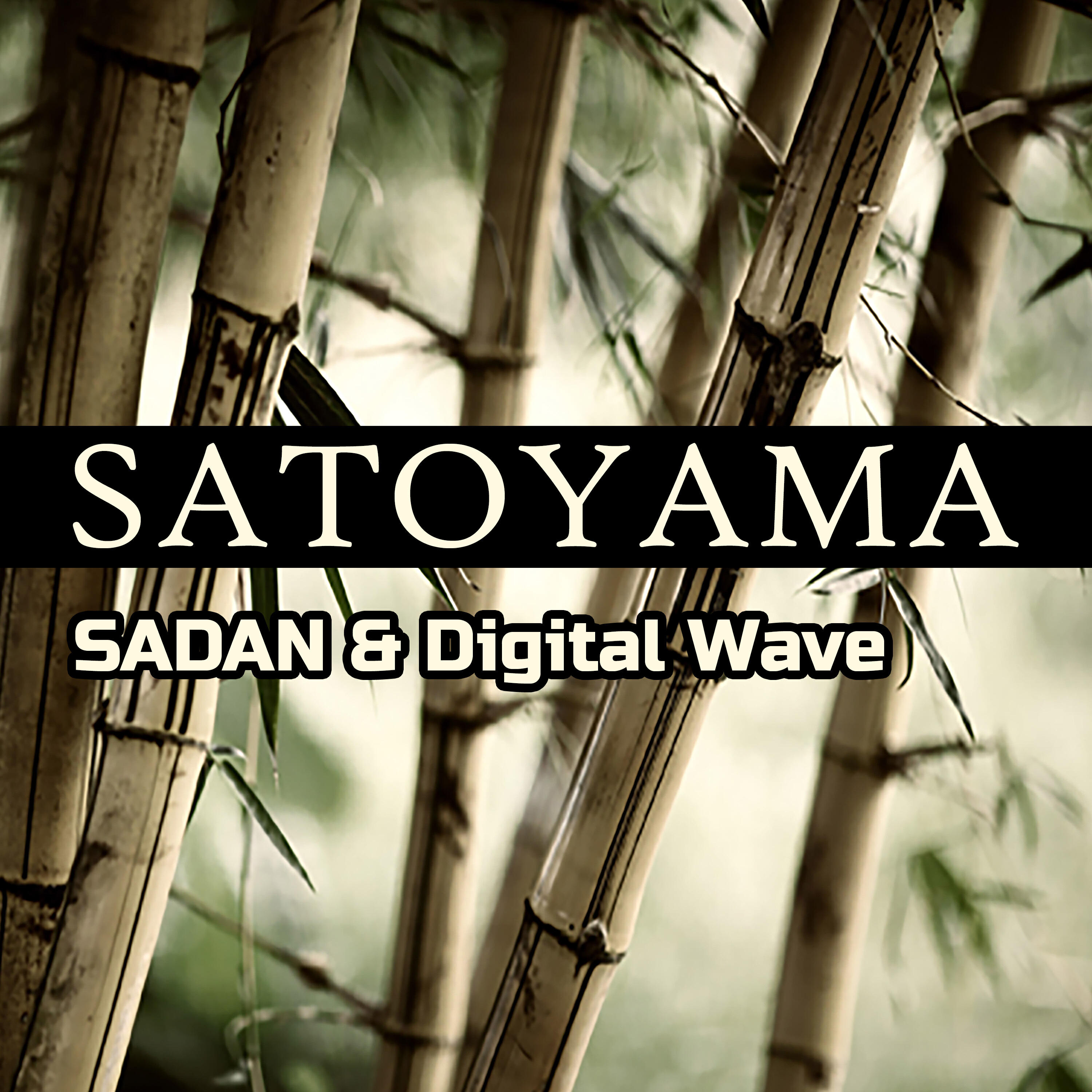 Релиз Satoyama