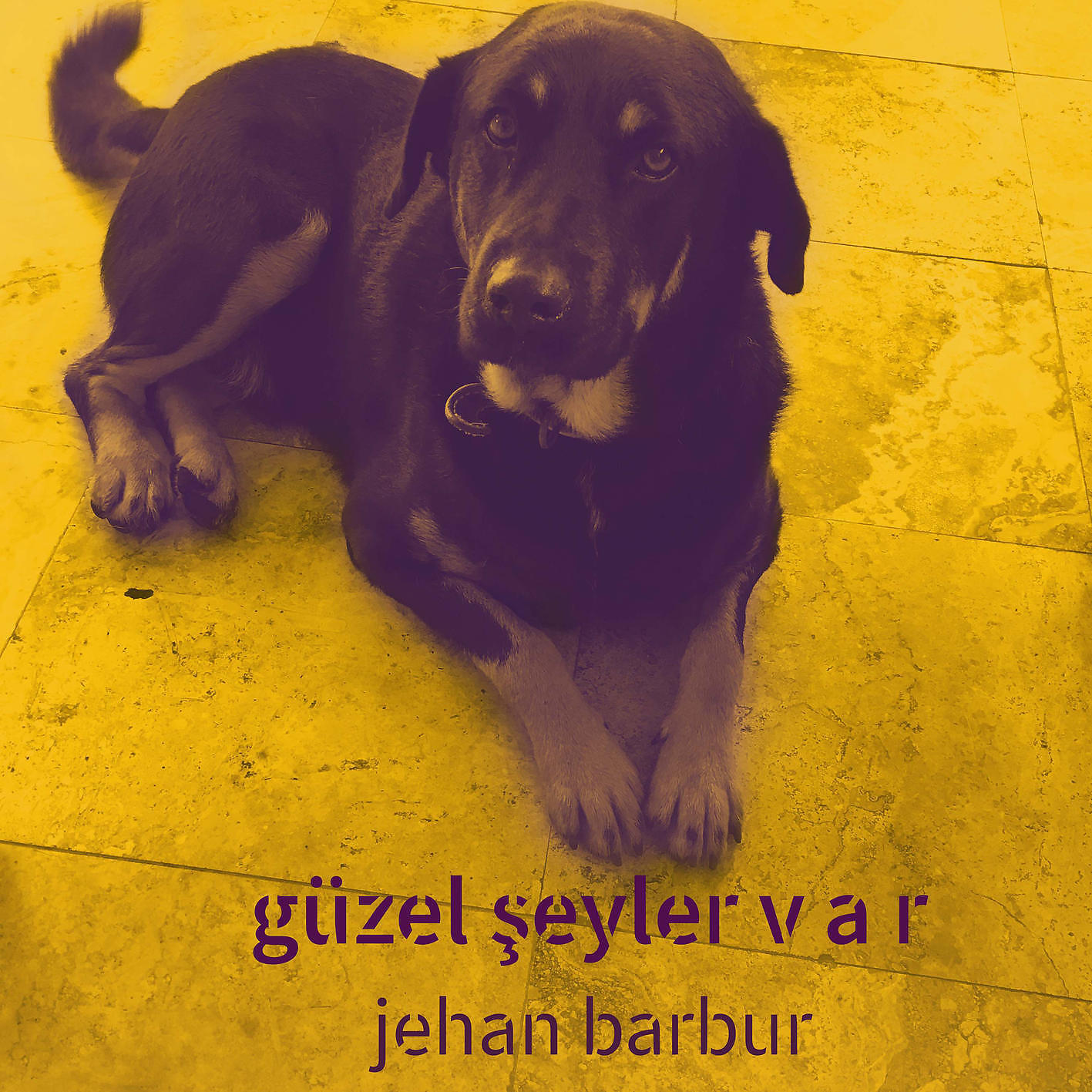 Постер альбома Güzel Şeyler Var