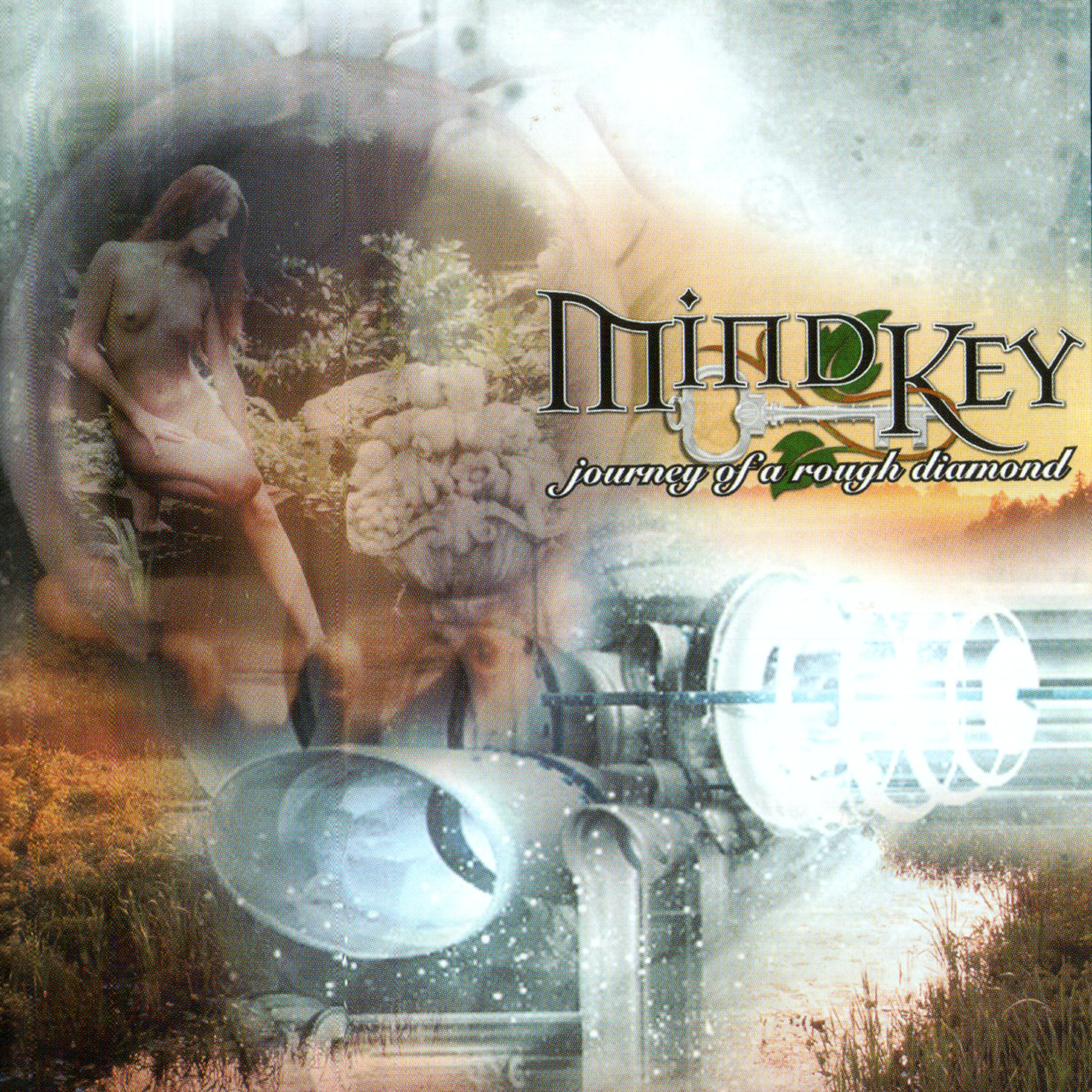 Релиз Journey Of A Rough Diamond