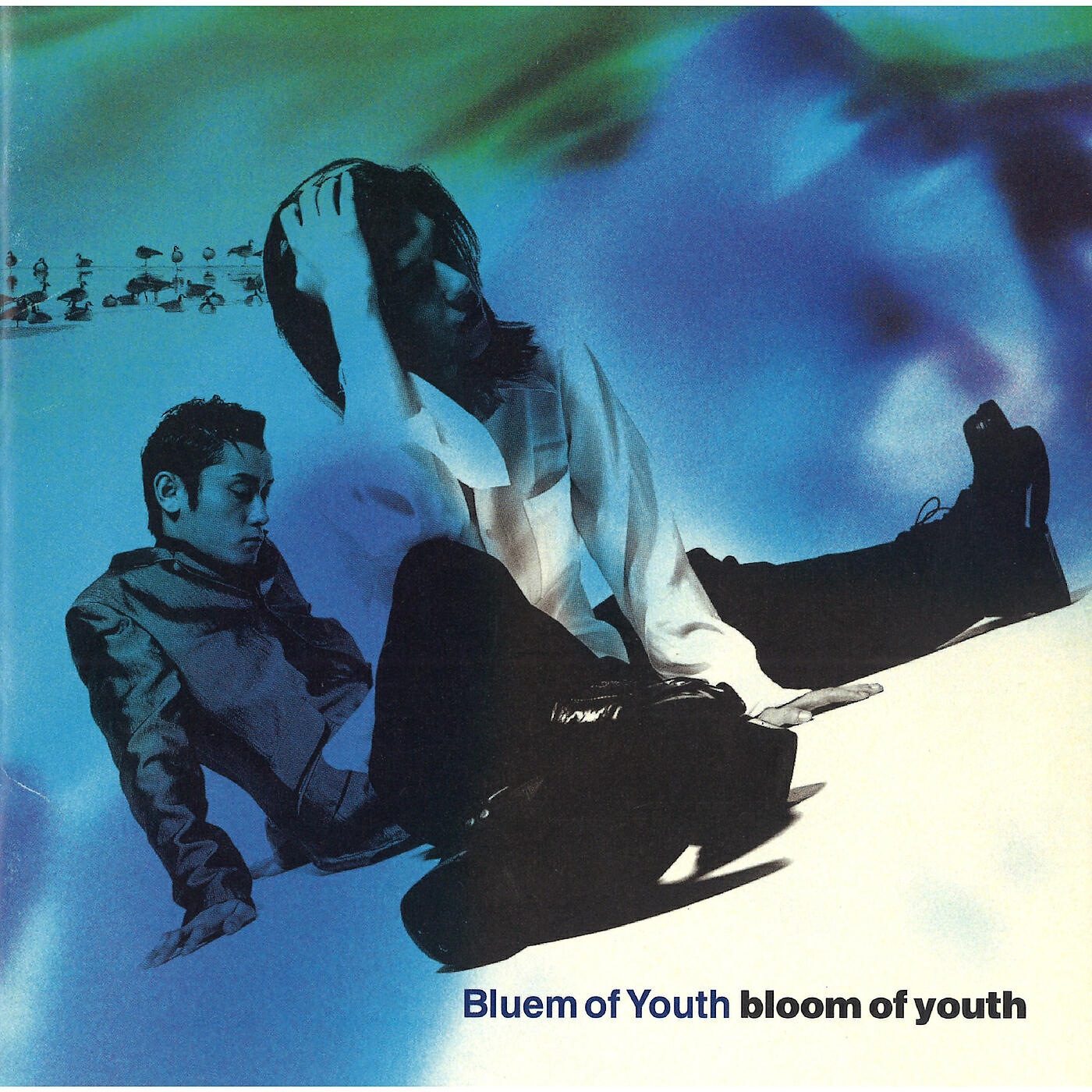 Релиз Bloom of Youth