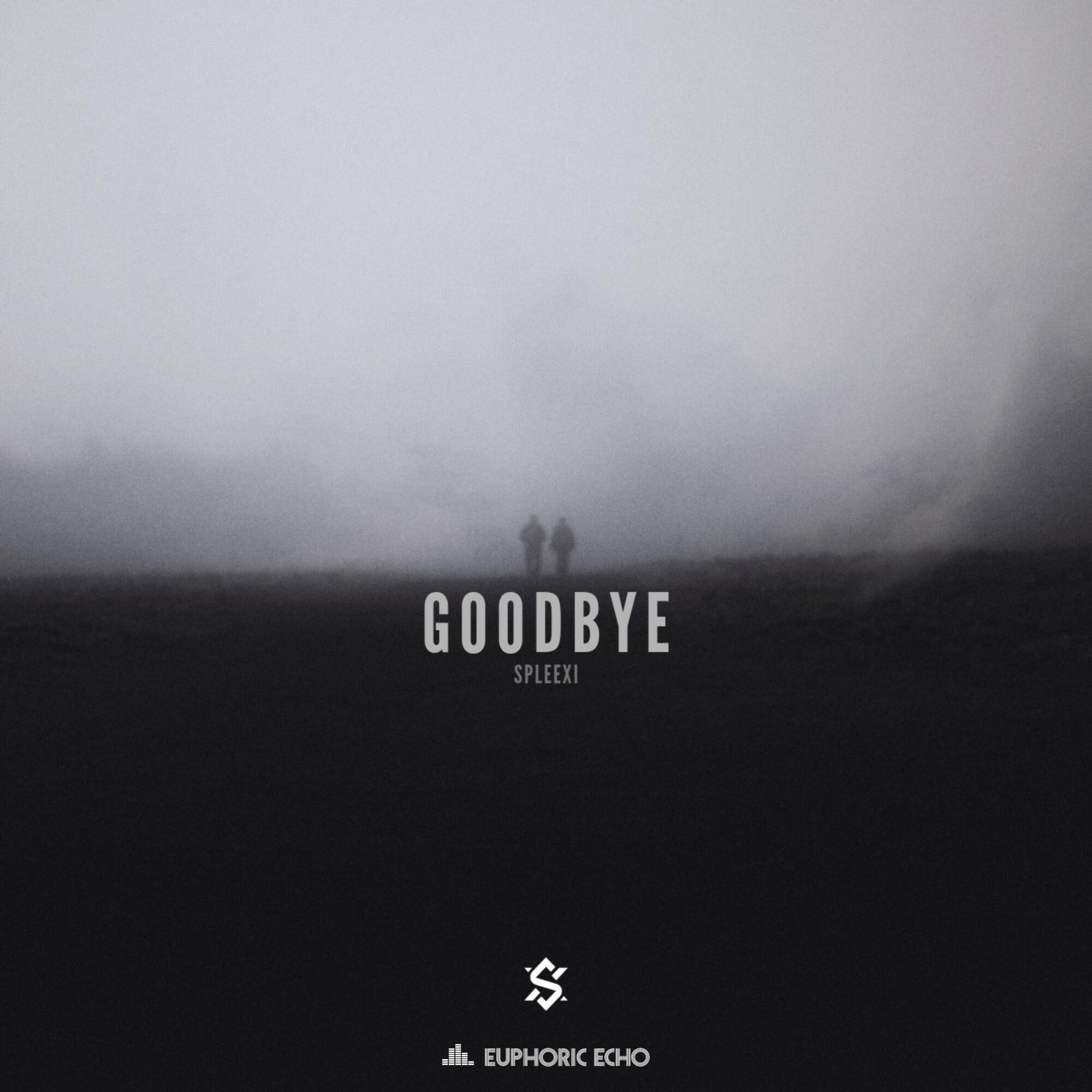 Релиз Goodbye