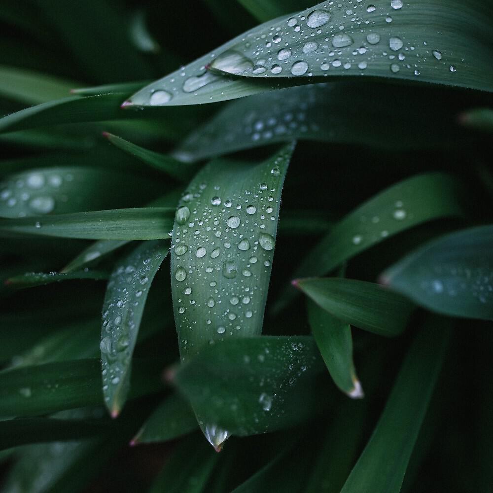 Релиз Melodies Piano in Rain