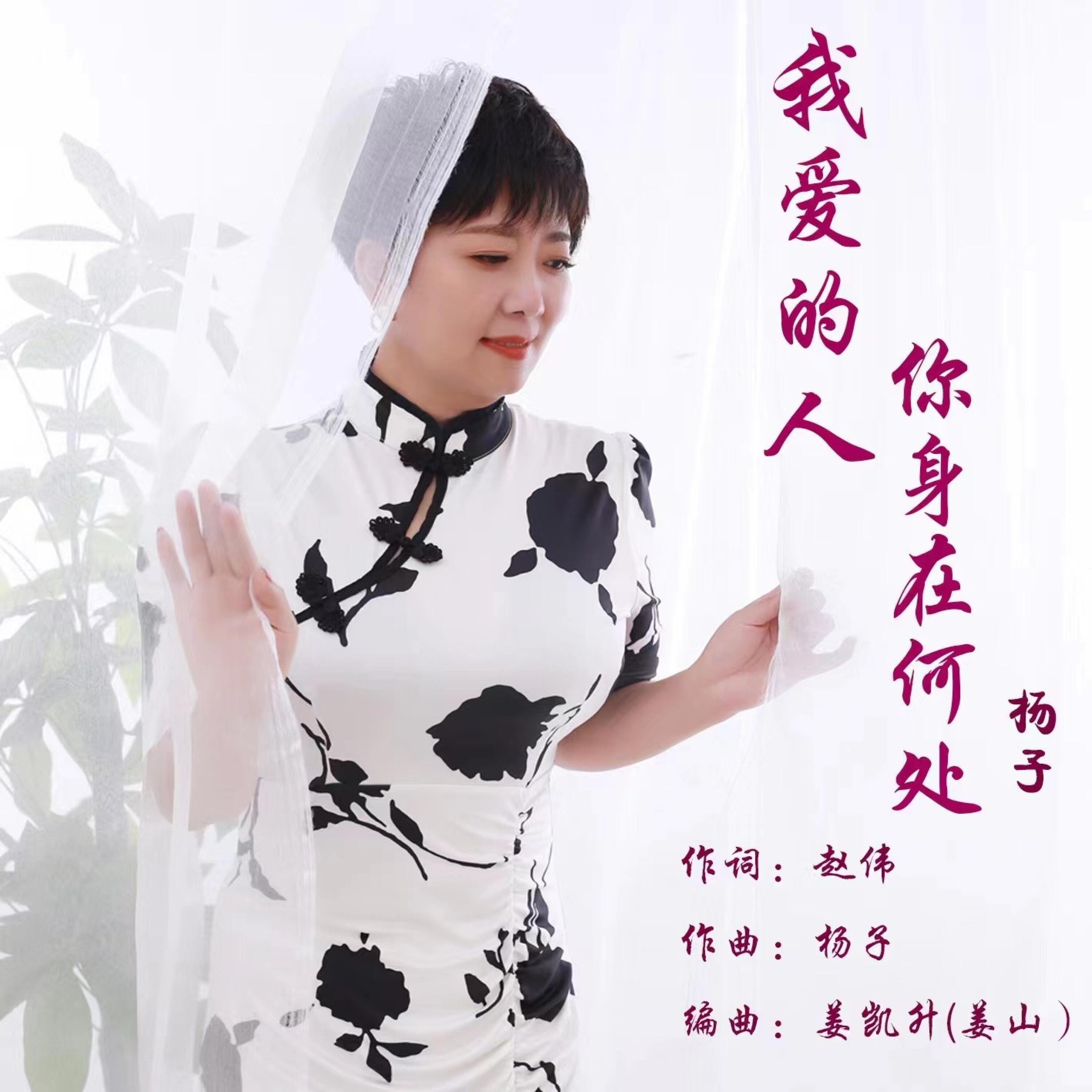 Релиз 我爱的人 你身在何处