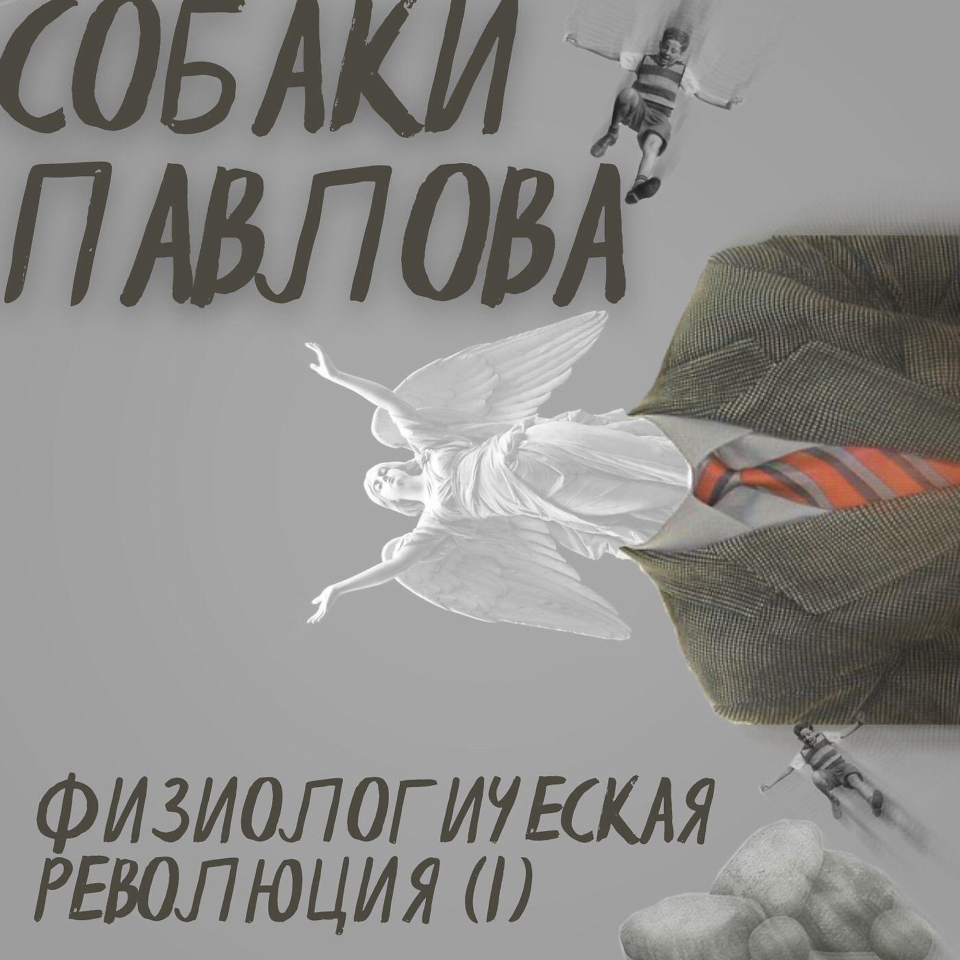 Релиз Физиологическая Революция (I)