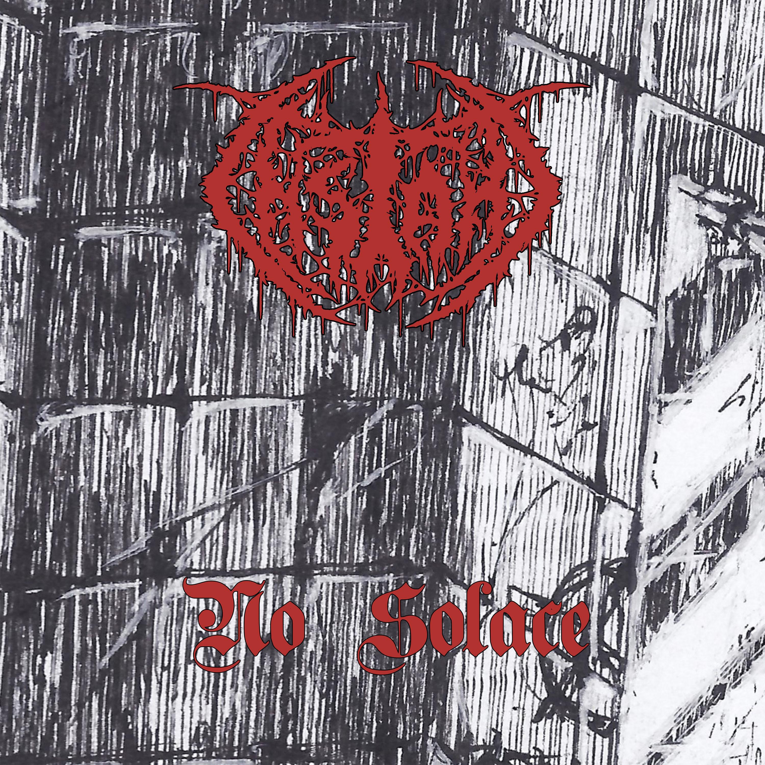 Релиз No Solace