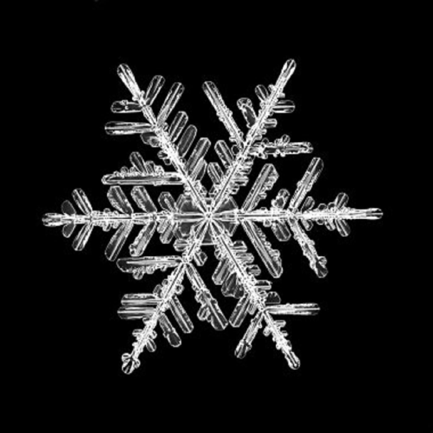 Релиз Navidad (Edit)