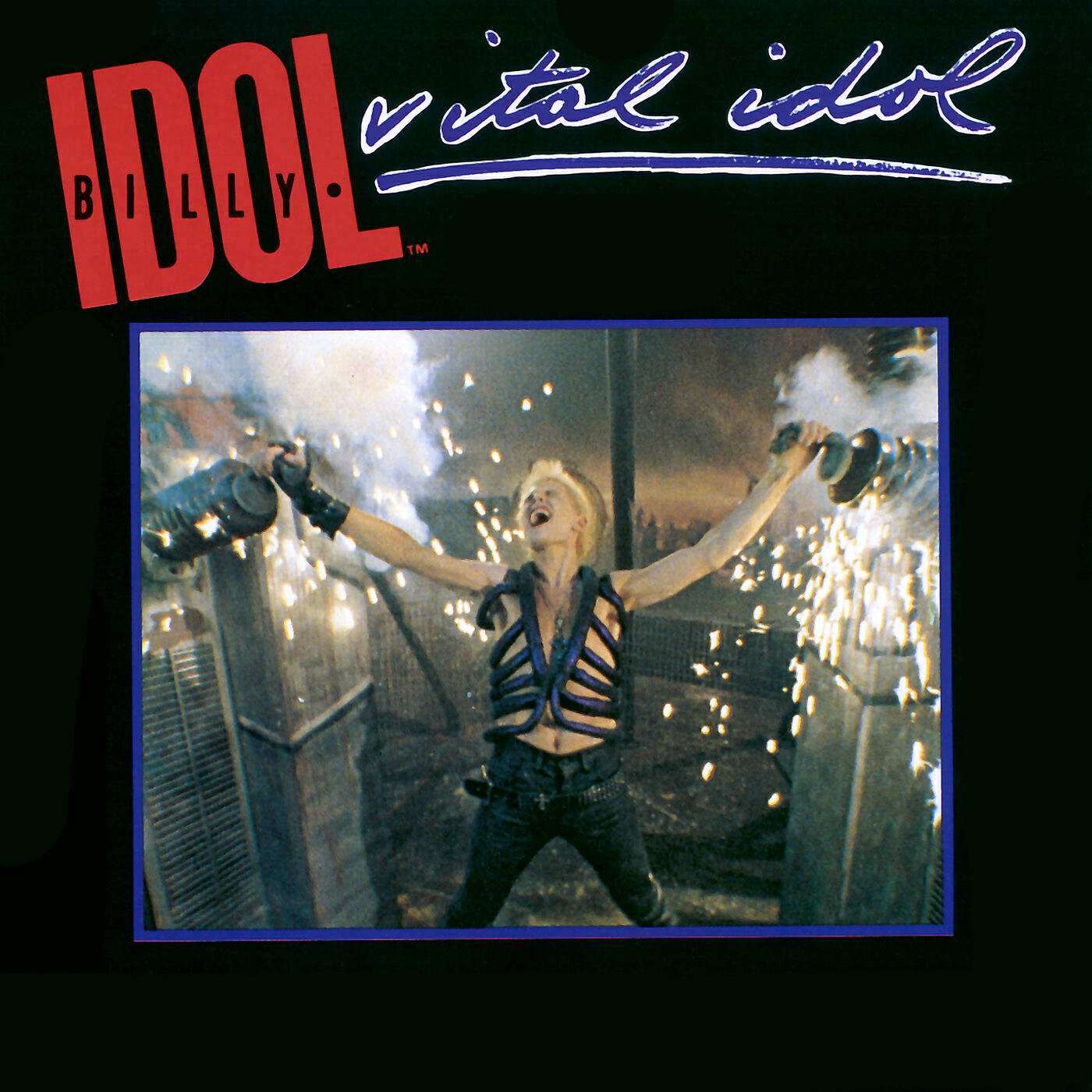 Релиз Vital Idol