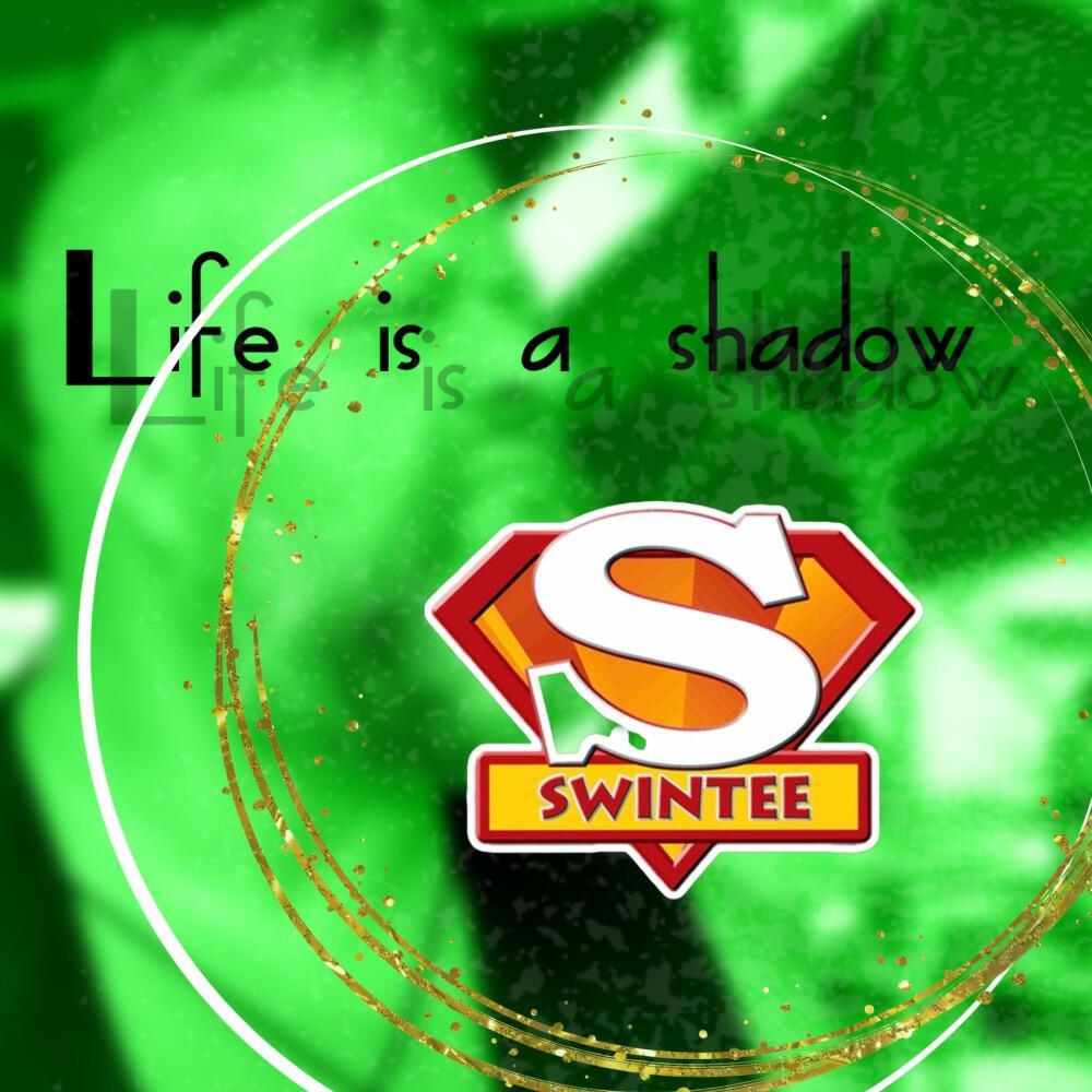 Релиз Life Is a Shadow