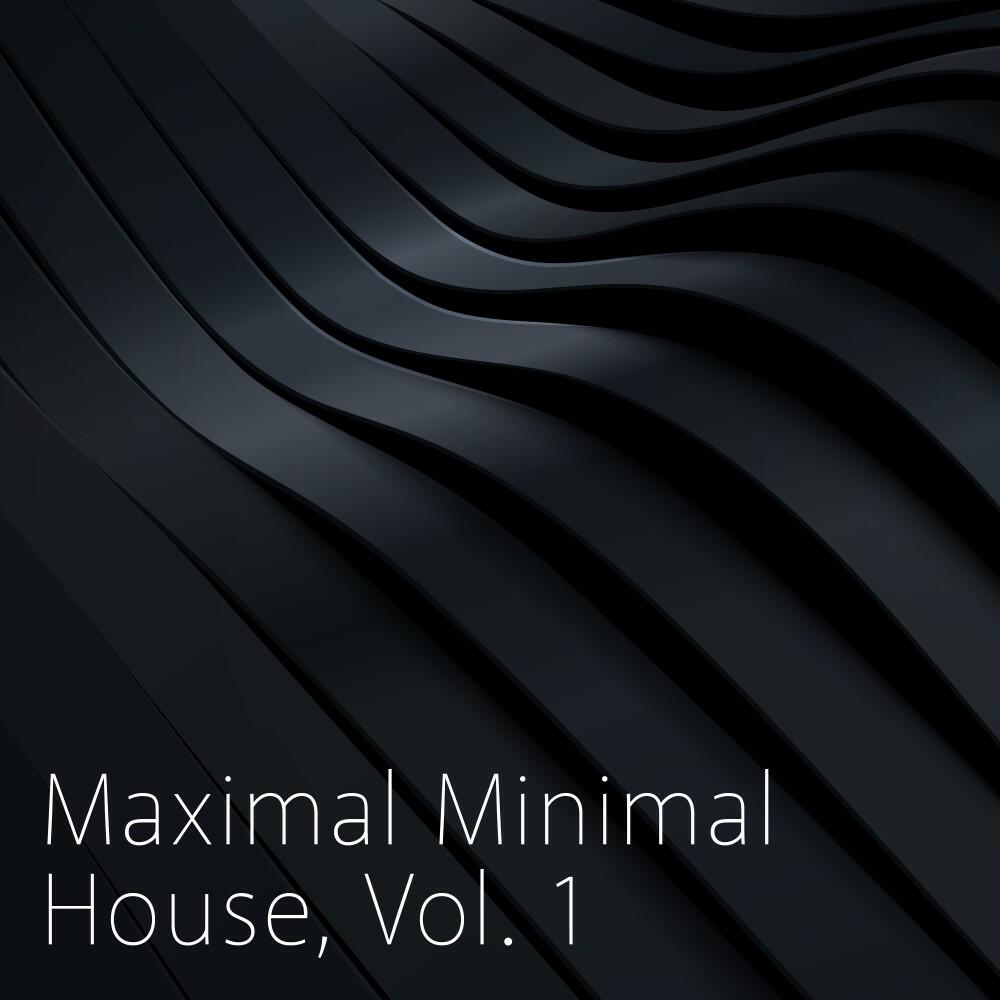 Релиз Maximal Minimal House, Vol. 1