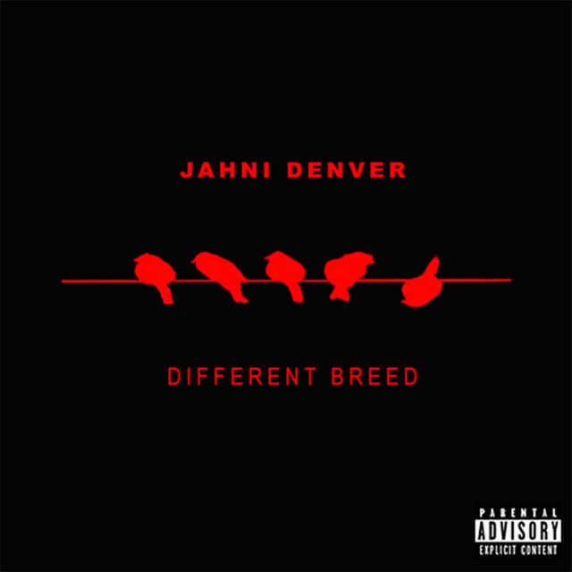 Релиз Different Breed