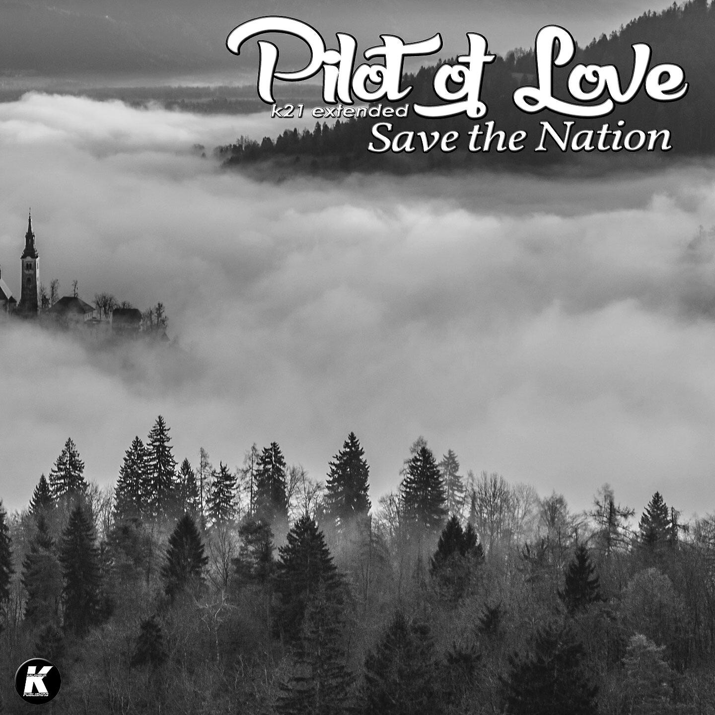 Релиз Save the Nation