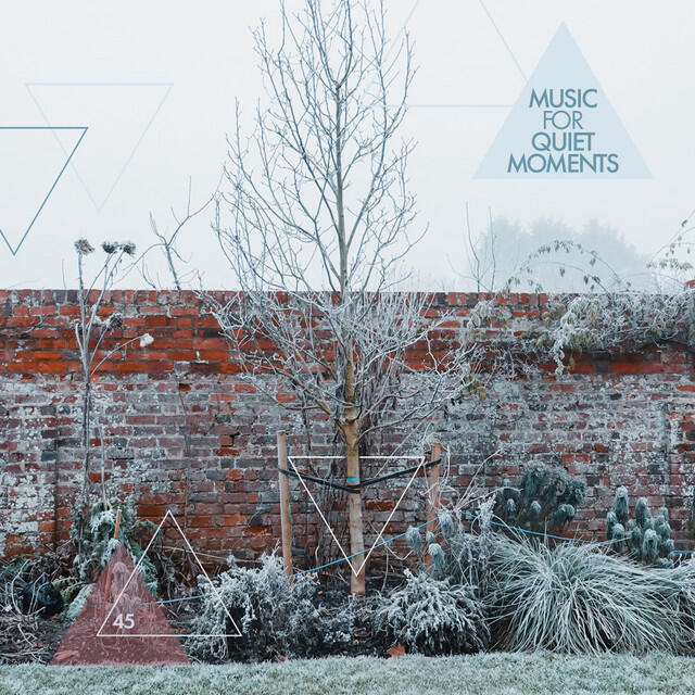 Релиз Music For Quiet Moments 45 - Elegy (Paris 22 Sep 2015)