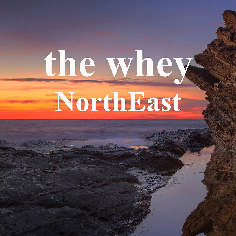 Релиз The whey