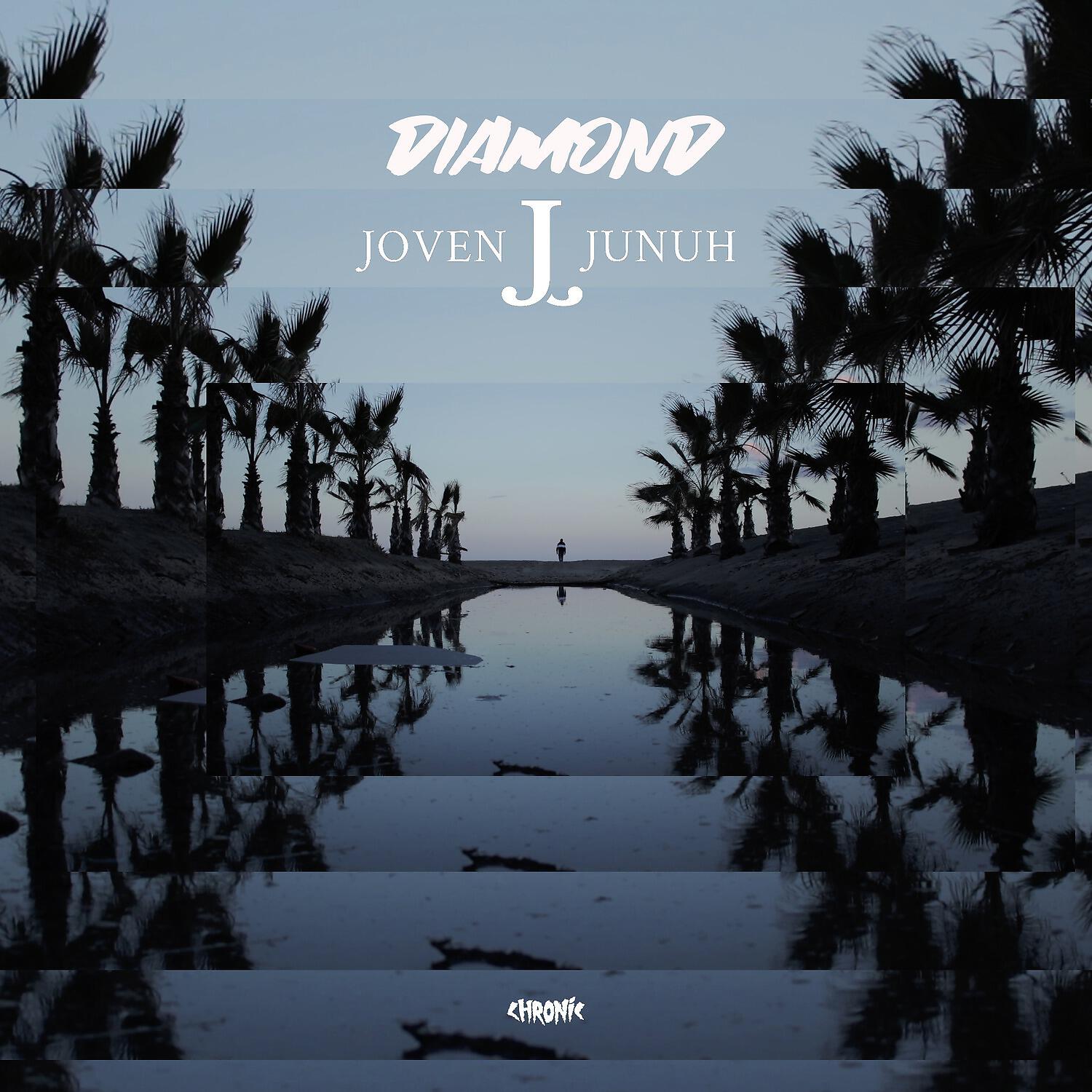 Скачать песню Joven Junuh - Diamond бесплатно в MP3 для Android и iOS