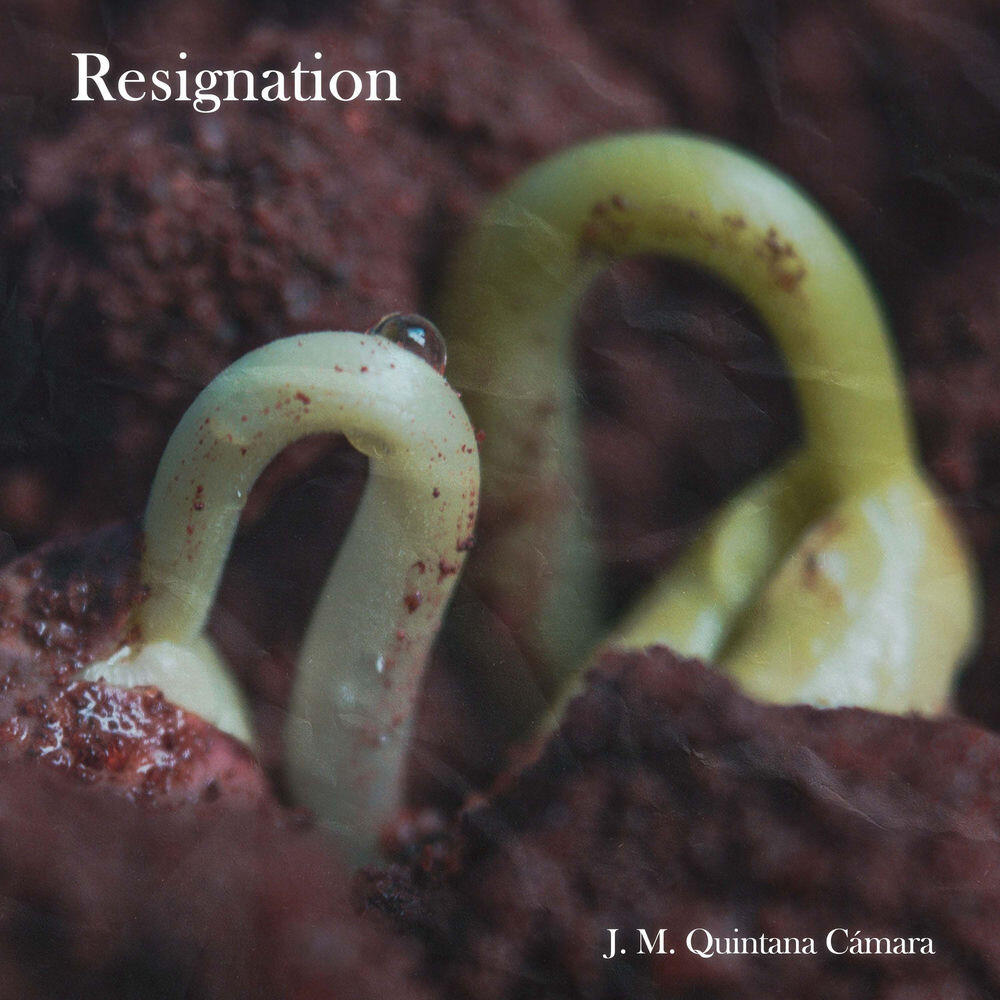 Релиз Resignation