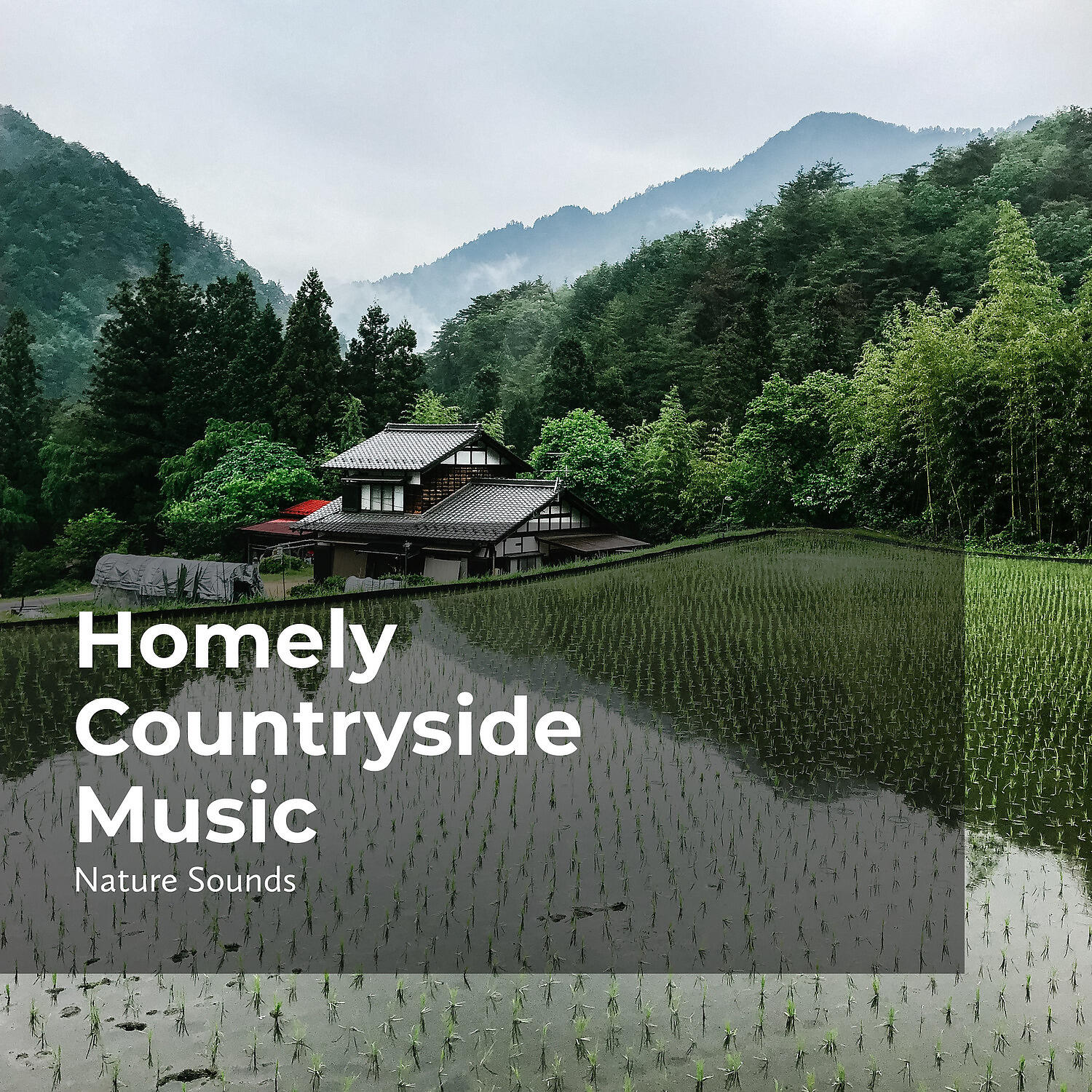 Постер альбома Homely Countryside Music