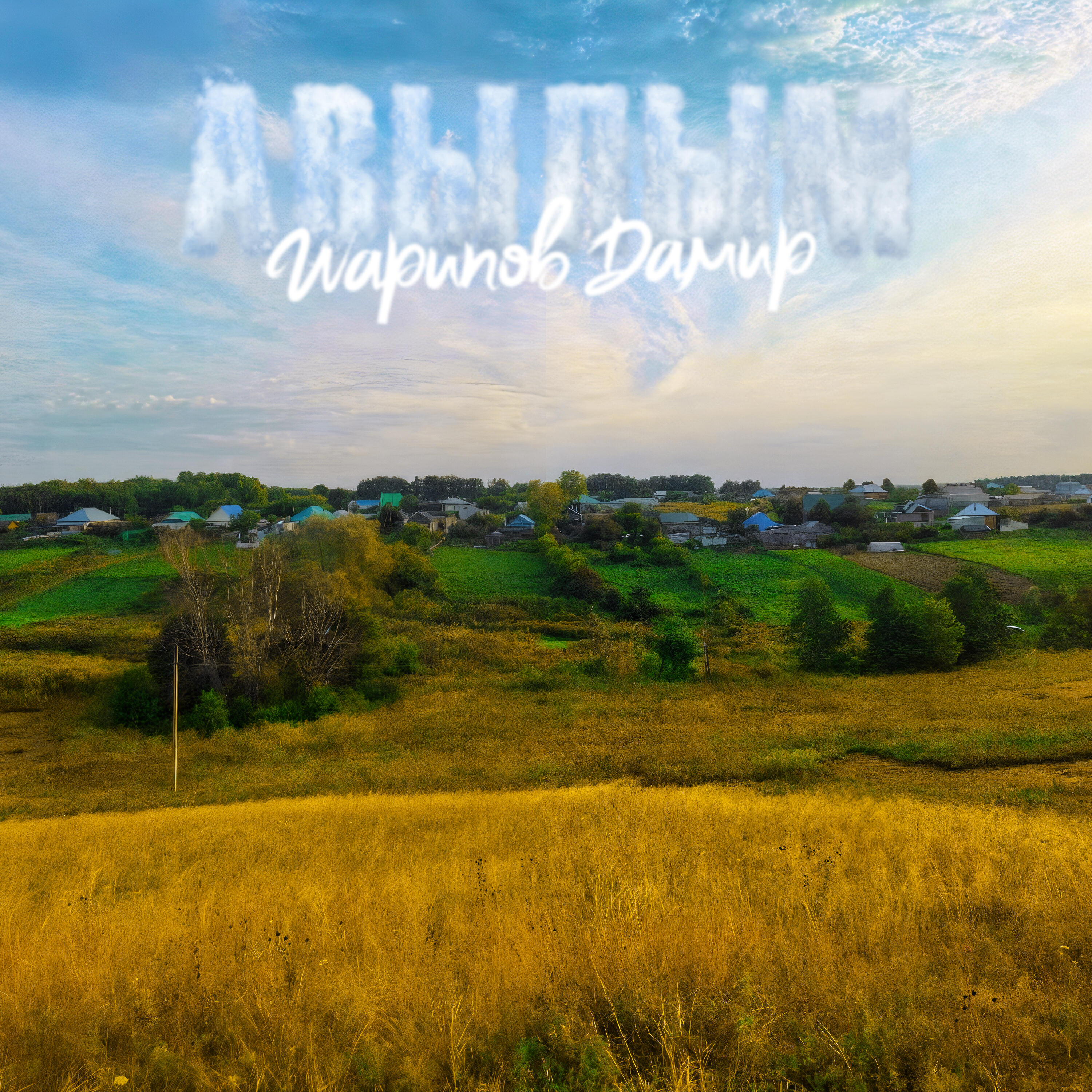 Дамир Шарипов