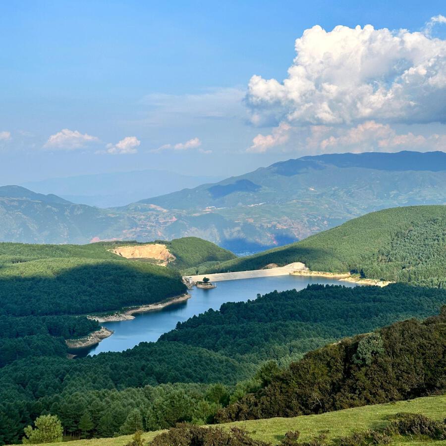 Волна по релизу