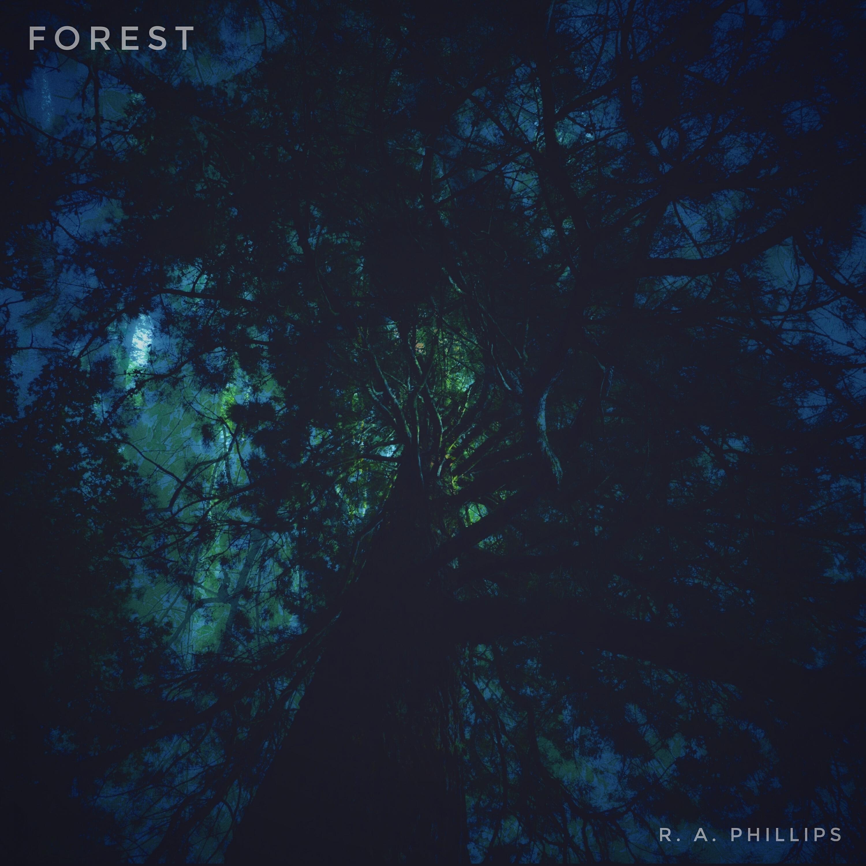 Релиз Forest