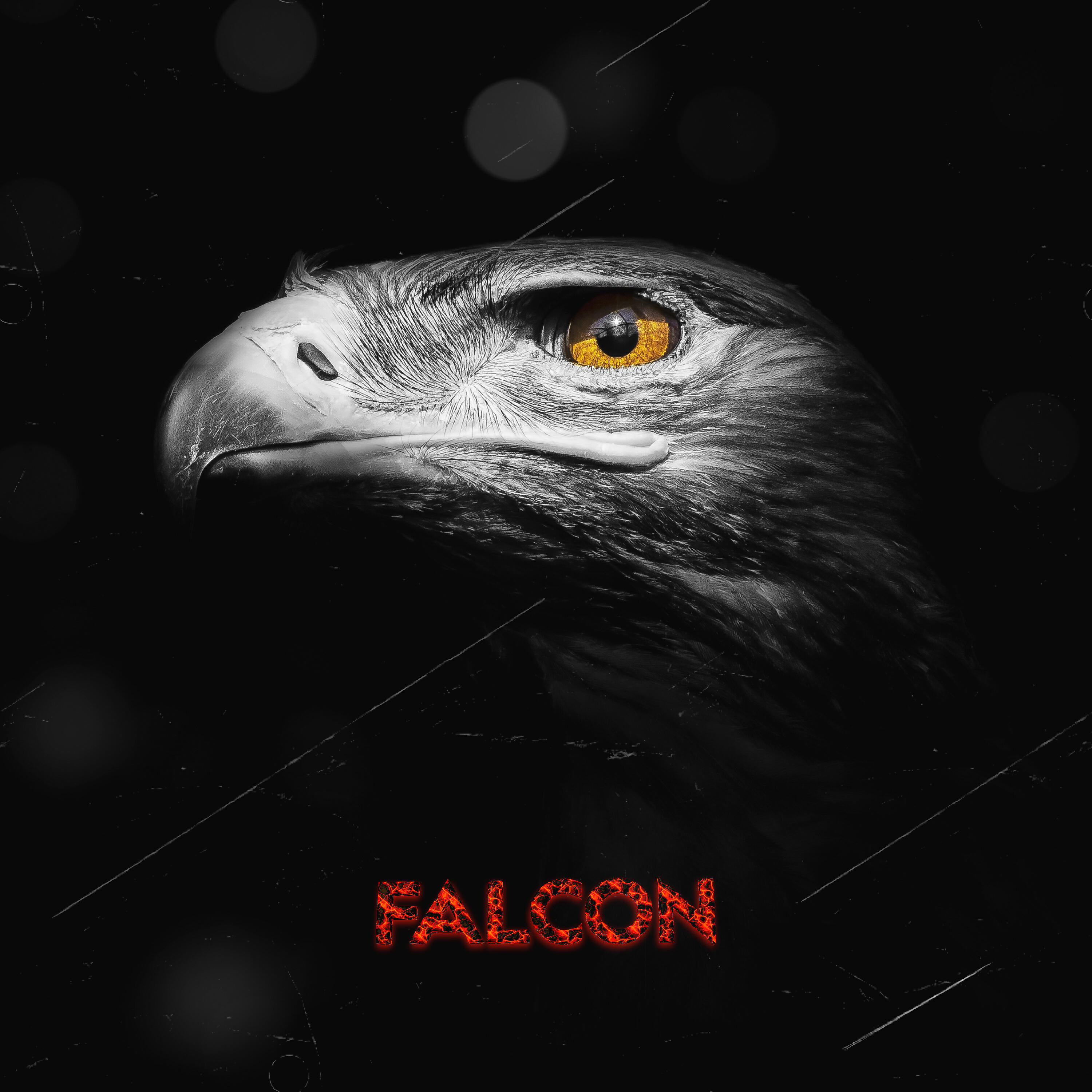 Релиз Falcon