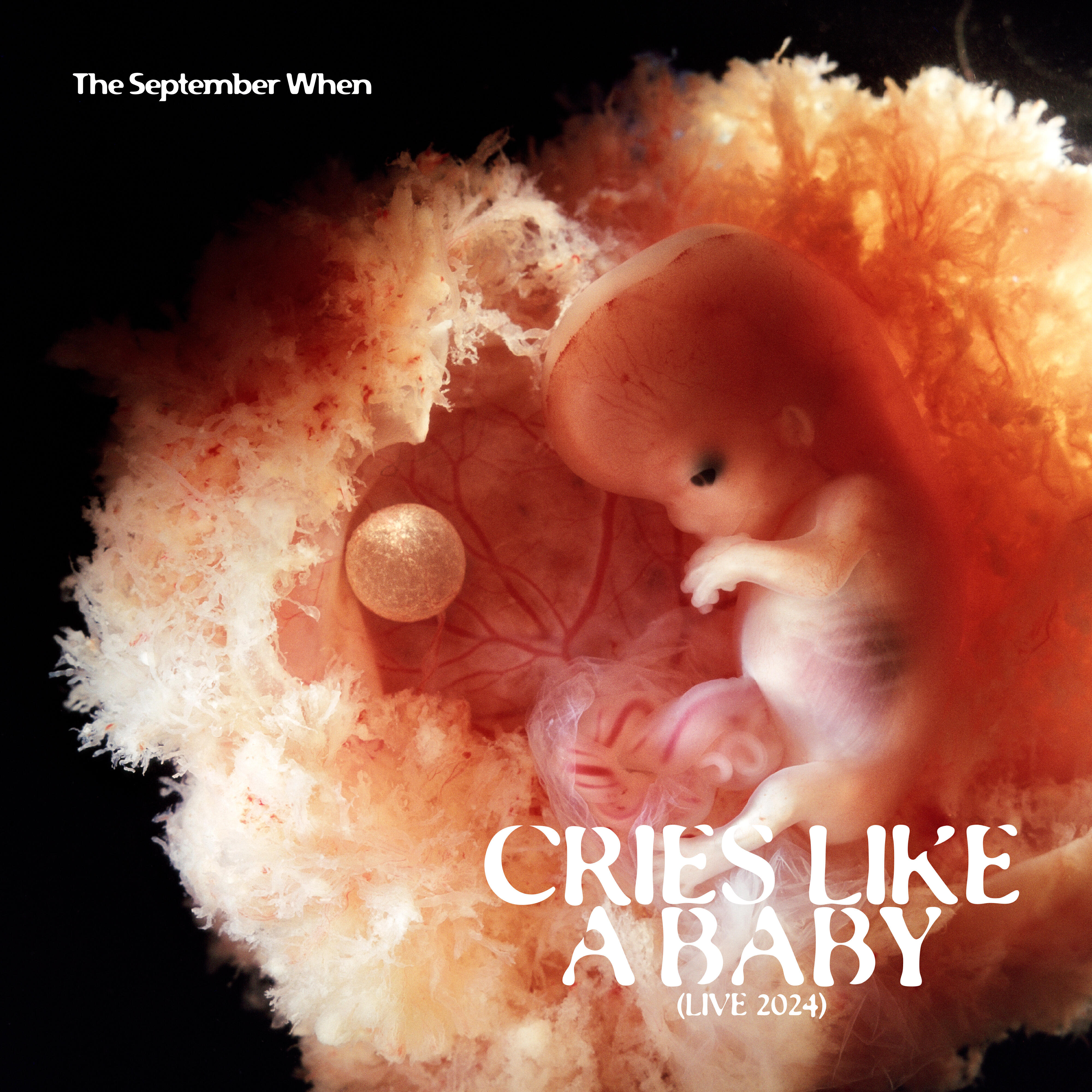 Релиз Cries Like A Baby (Live 2024)
