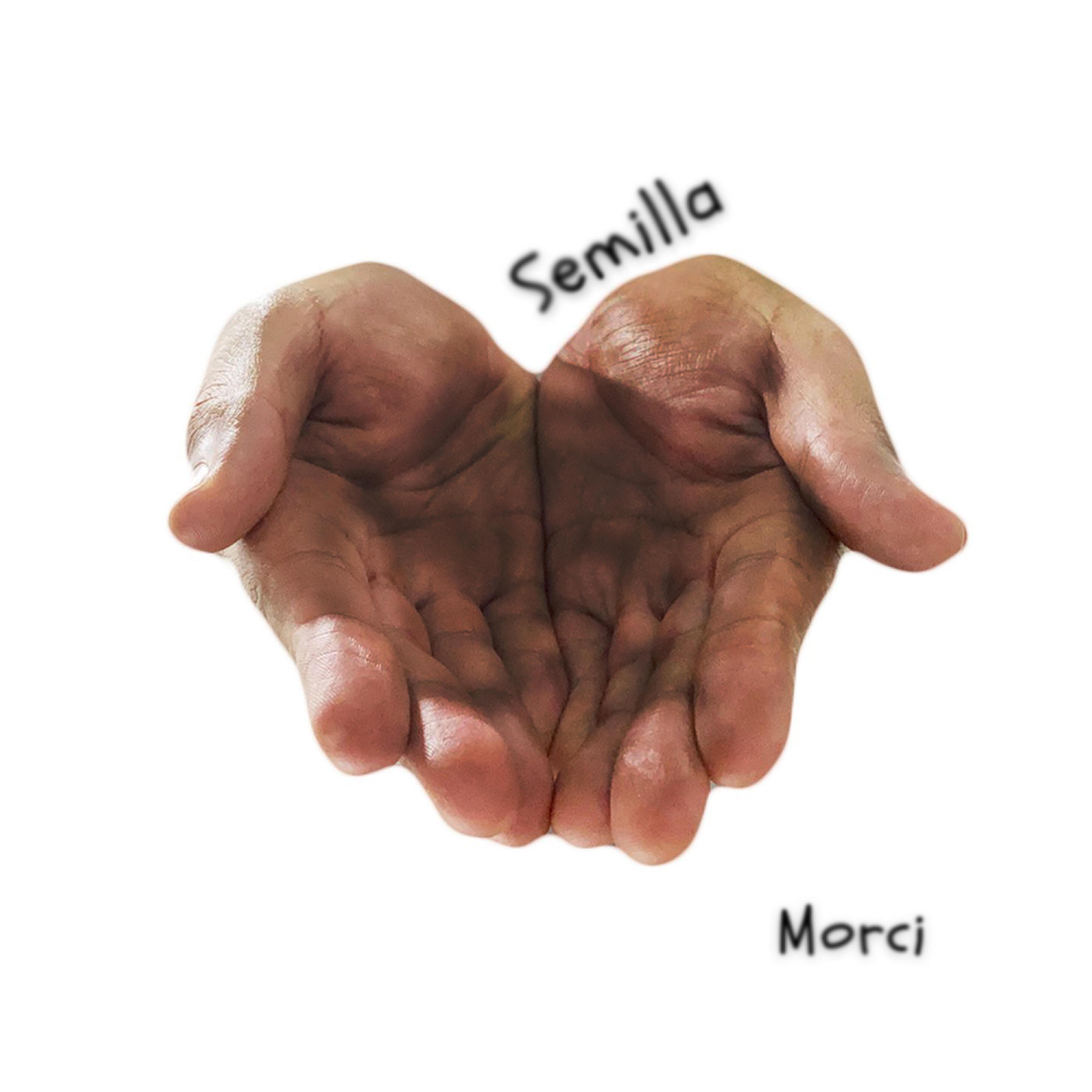 Morci
