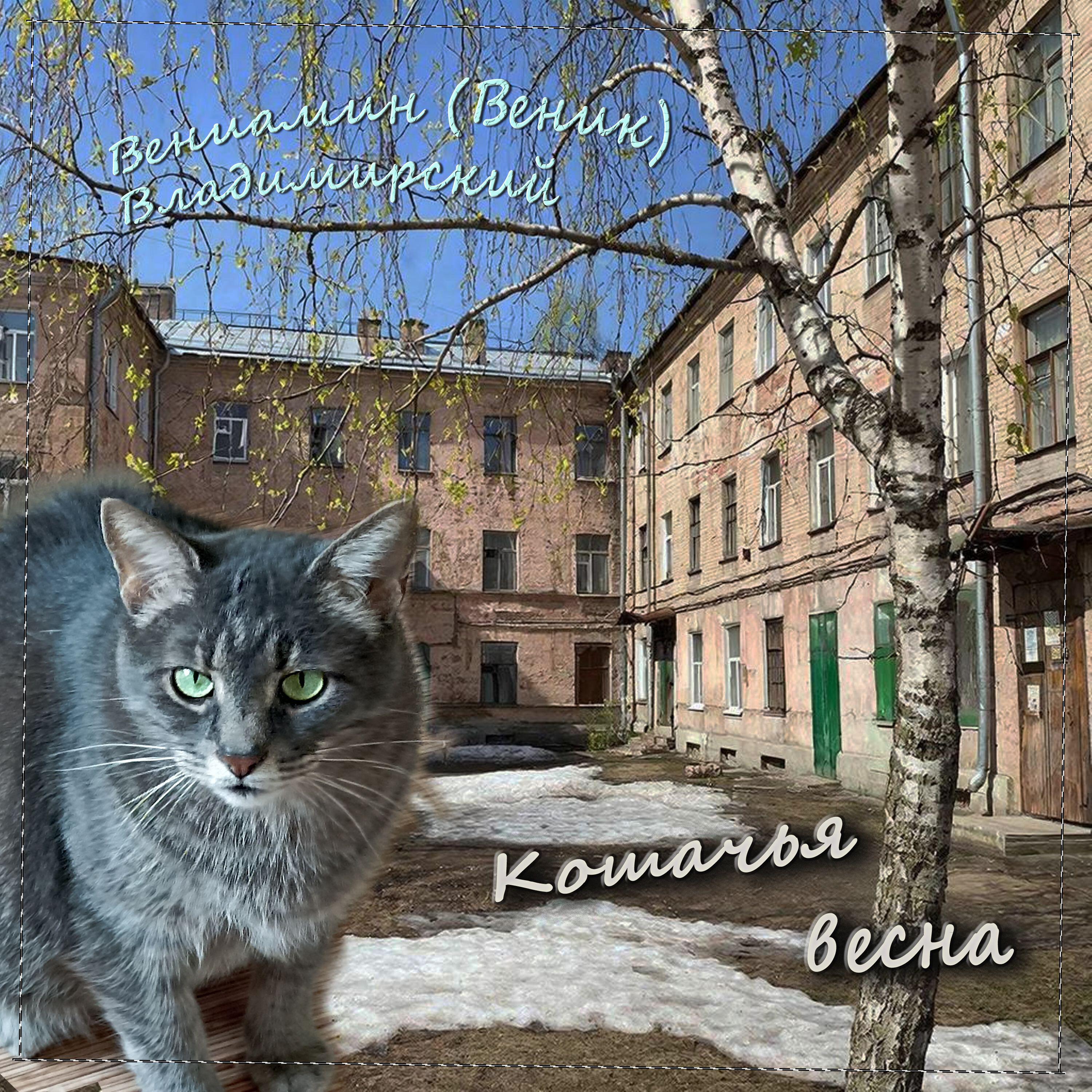 Релиз Кошачья весна