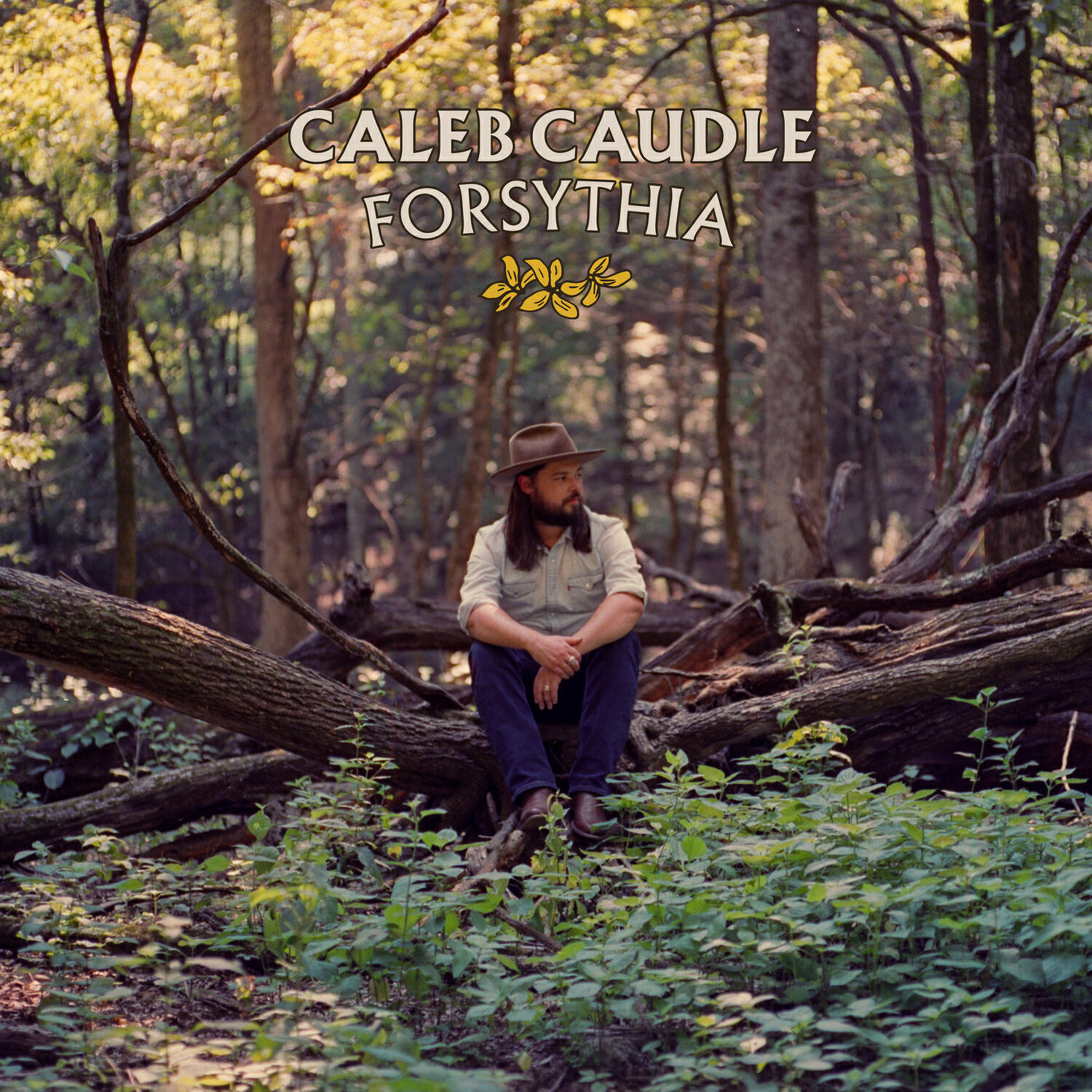 Релиз Forsythia