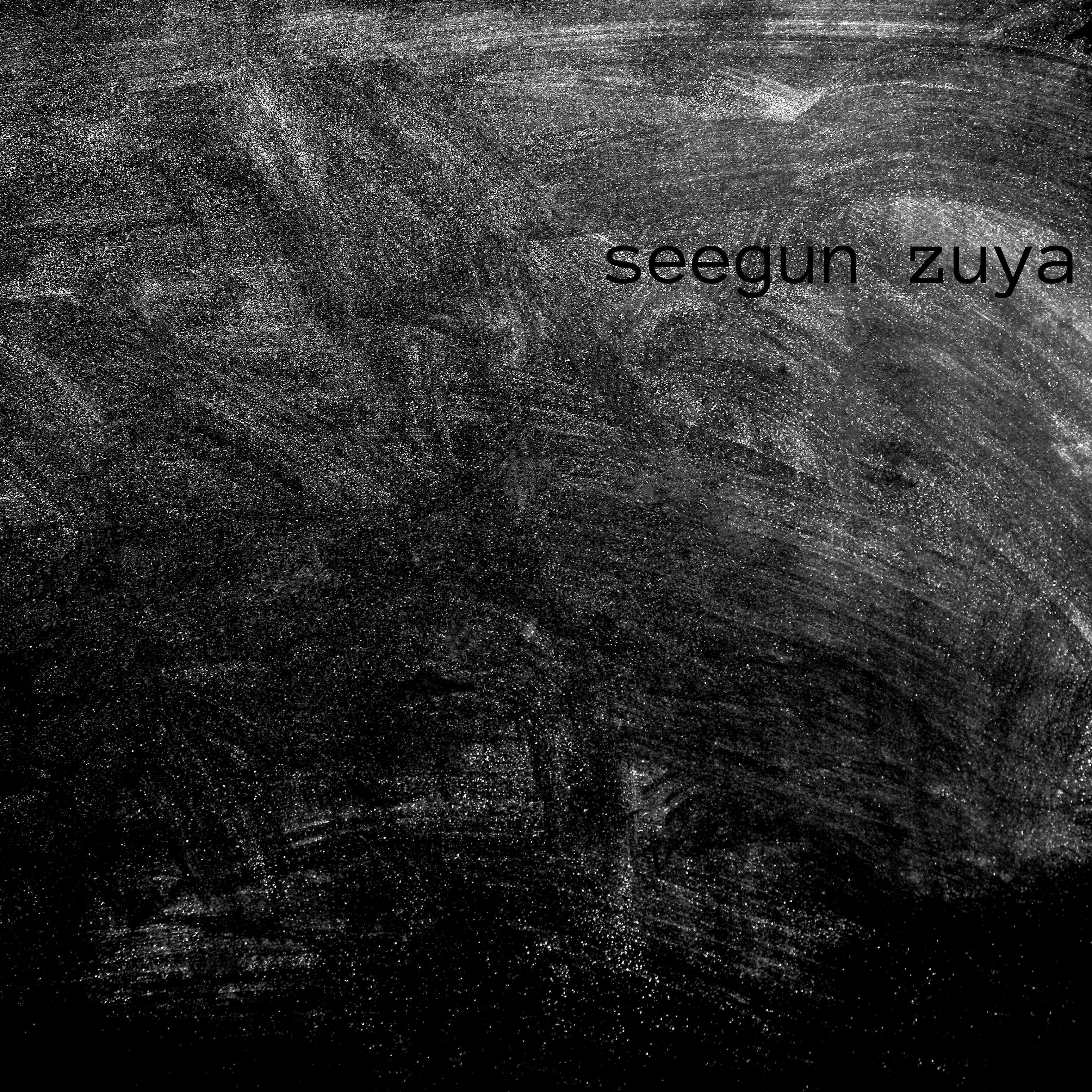 Seegun