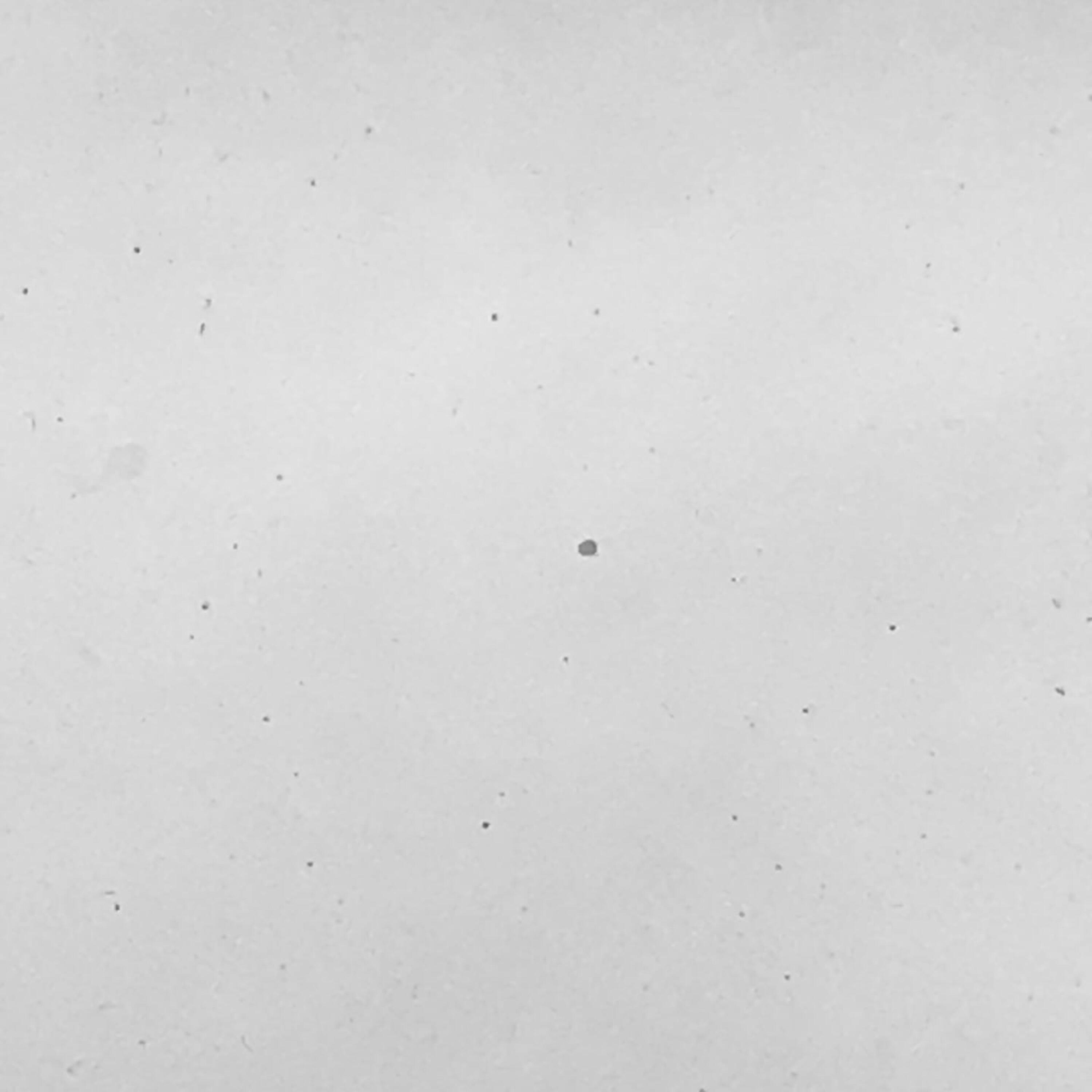 Релиз Star Antology