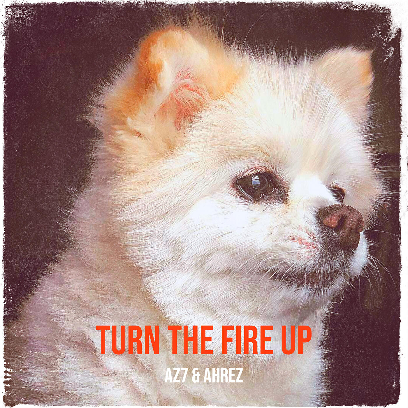 Релиз Turn the Fire Up