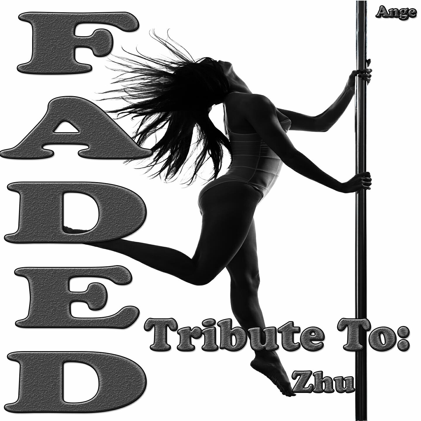 Релиз Faded: Tribute to Zhu