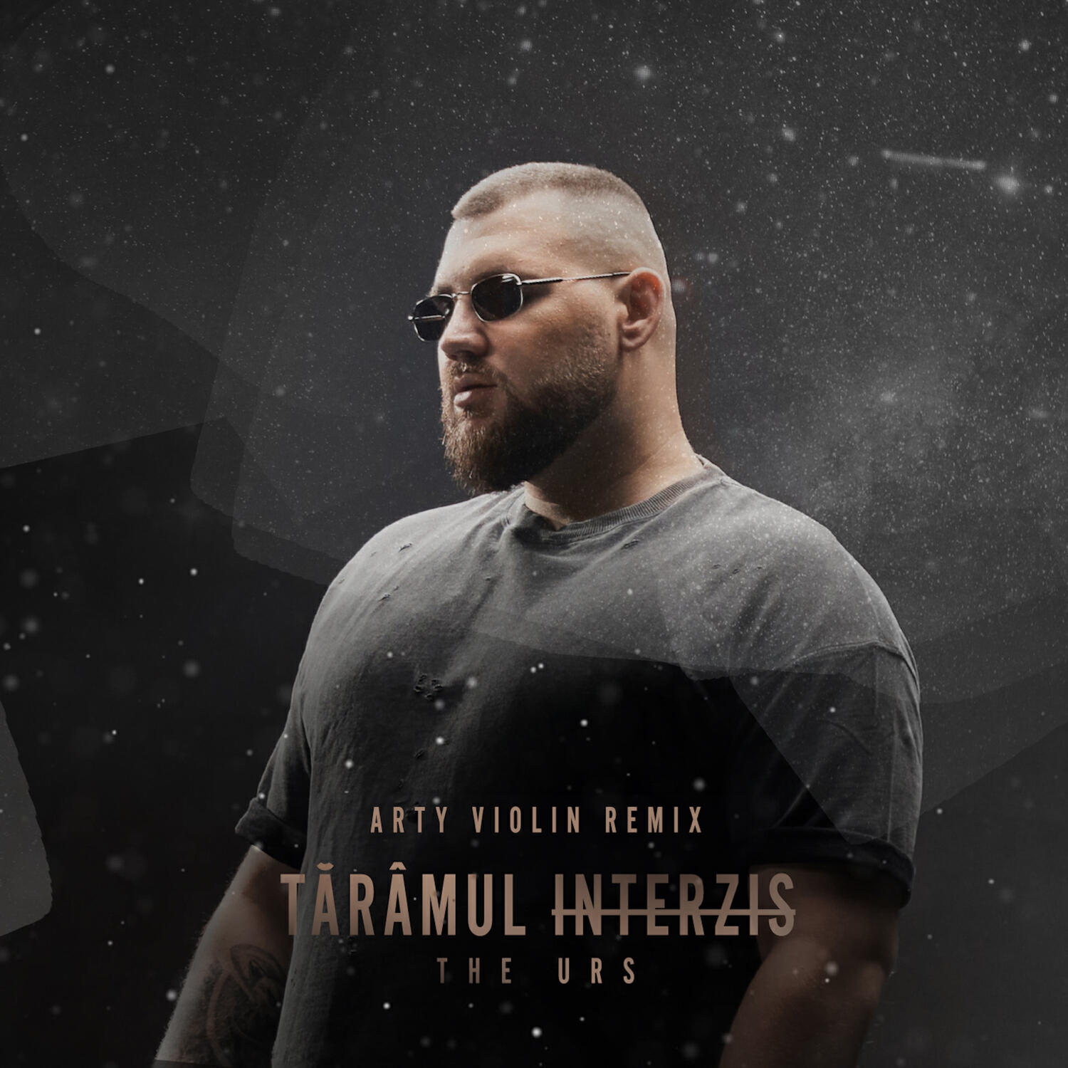 Релиз Taramul interzis (Arty Violin Remix)
