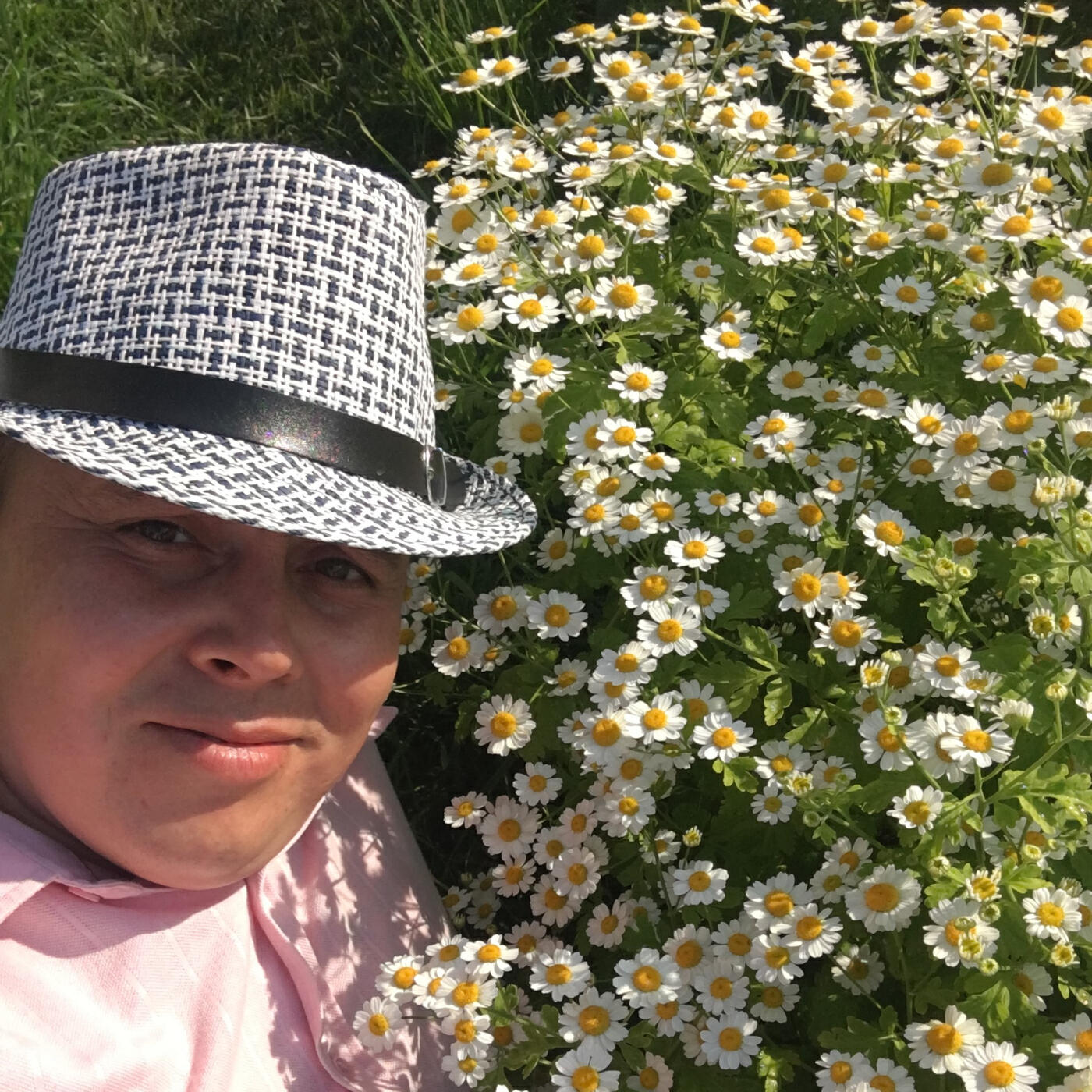 Релиз Весенний закат