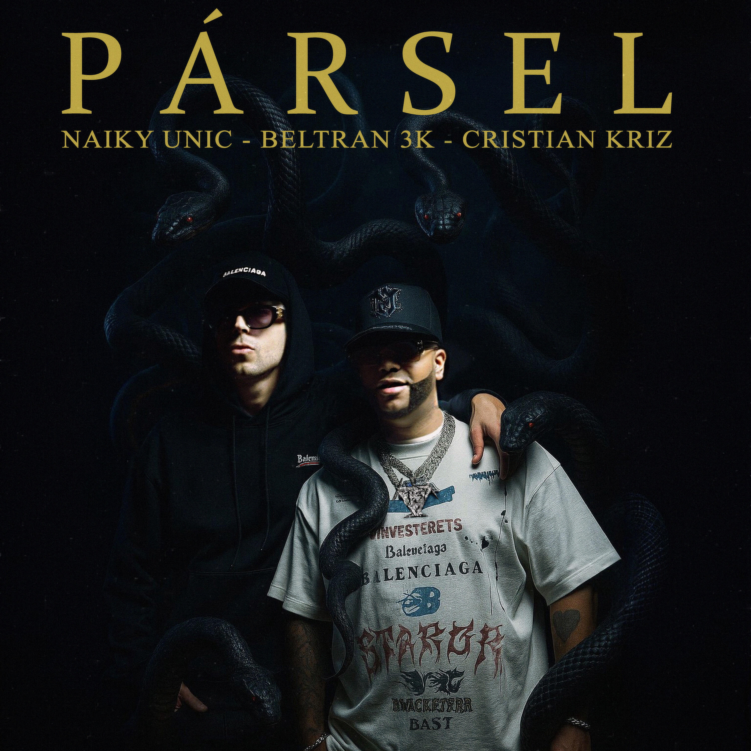 Релиз Pársel