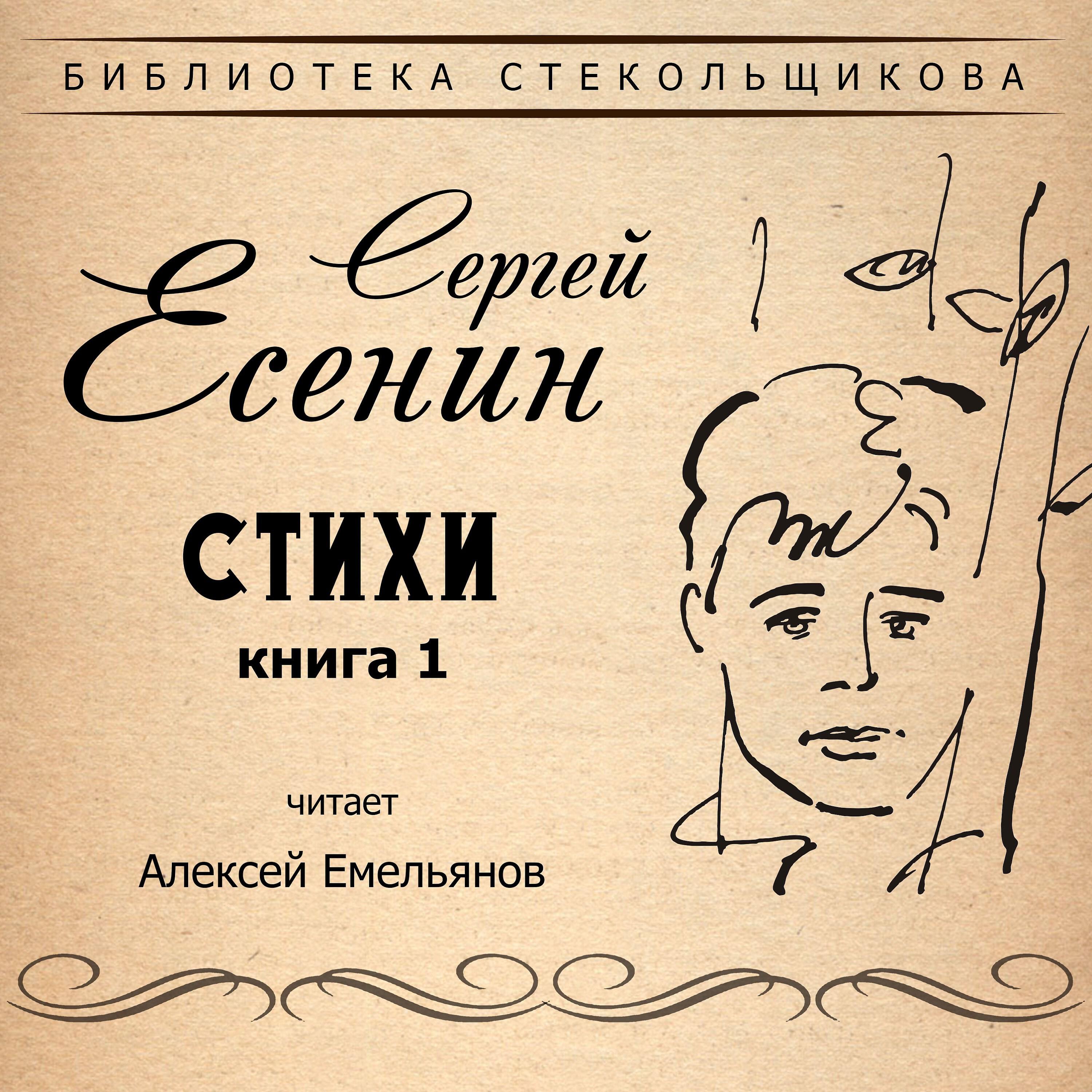 Книга Сергей Есенин. Стихи. Книга 1. Библиотека Стекольщикова
