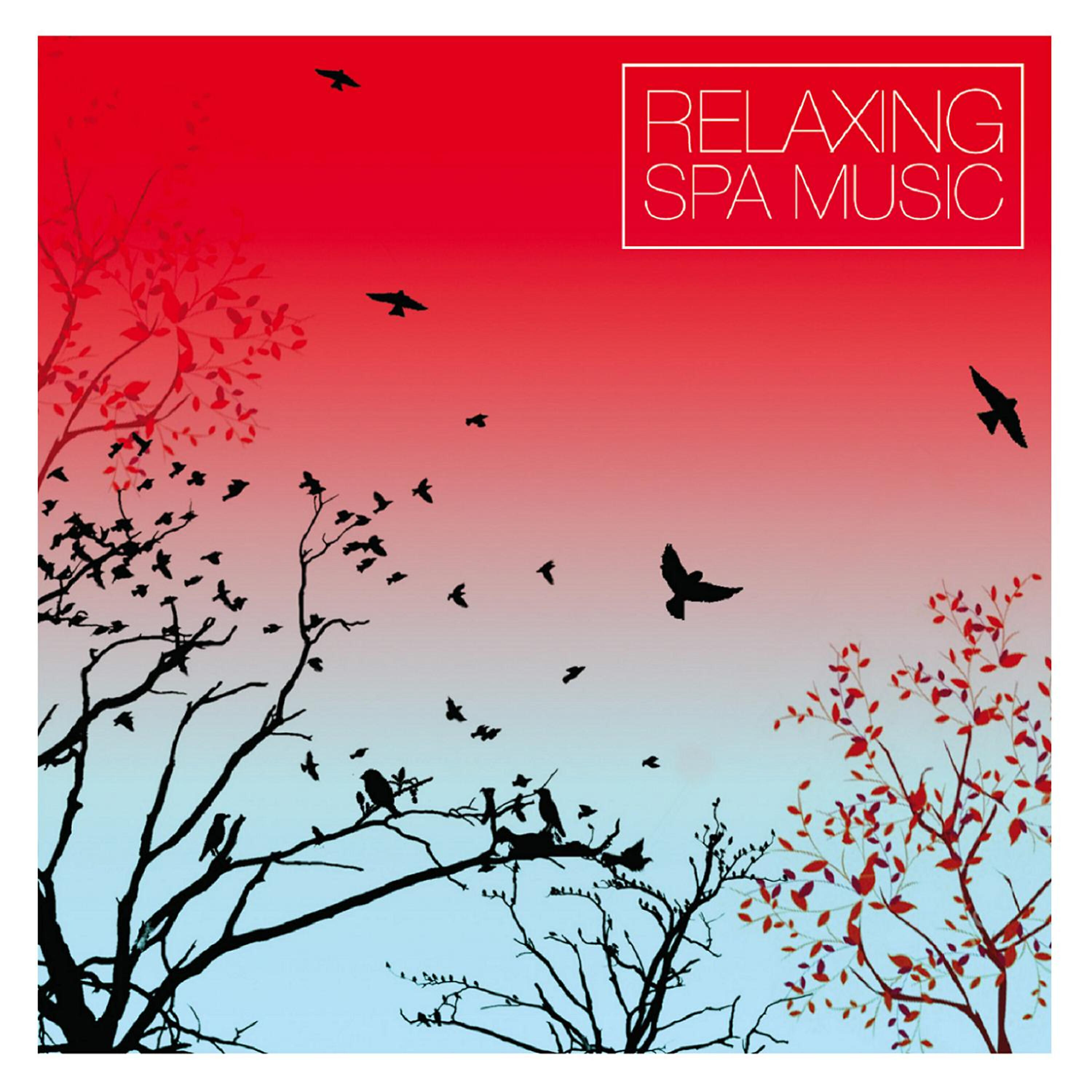 Релиз Relaxing Spa Music