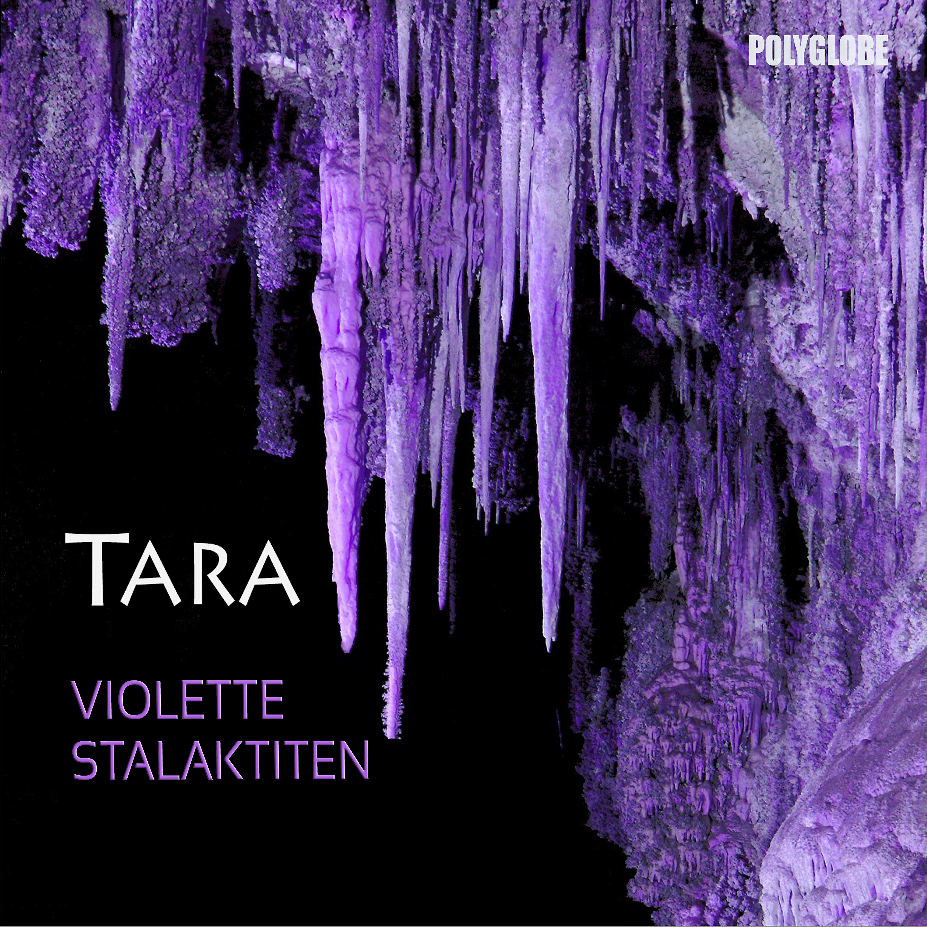 Постер альбома Violette Stalaktiten