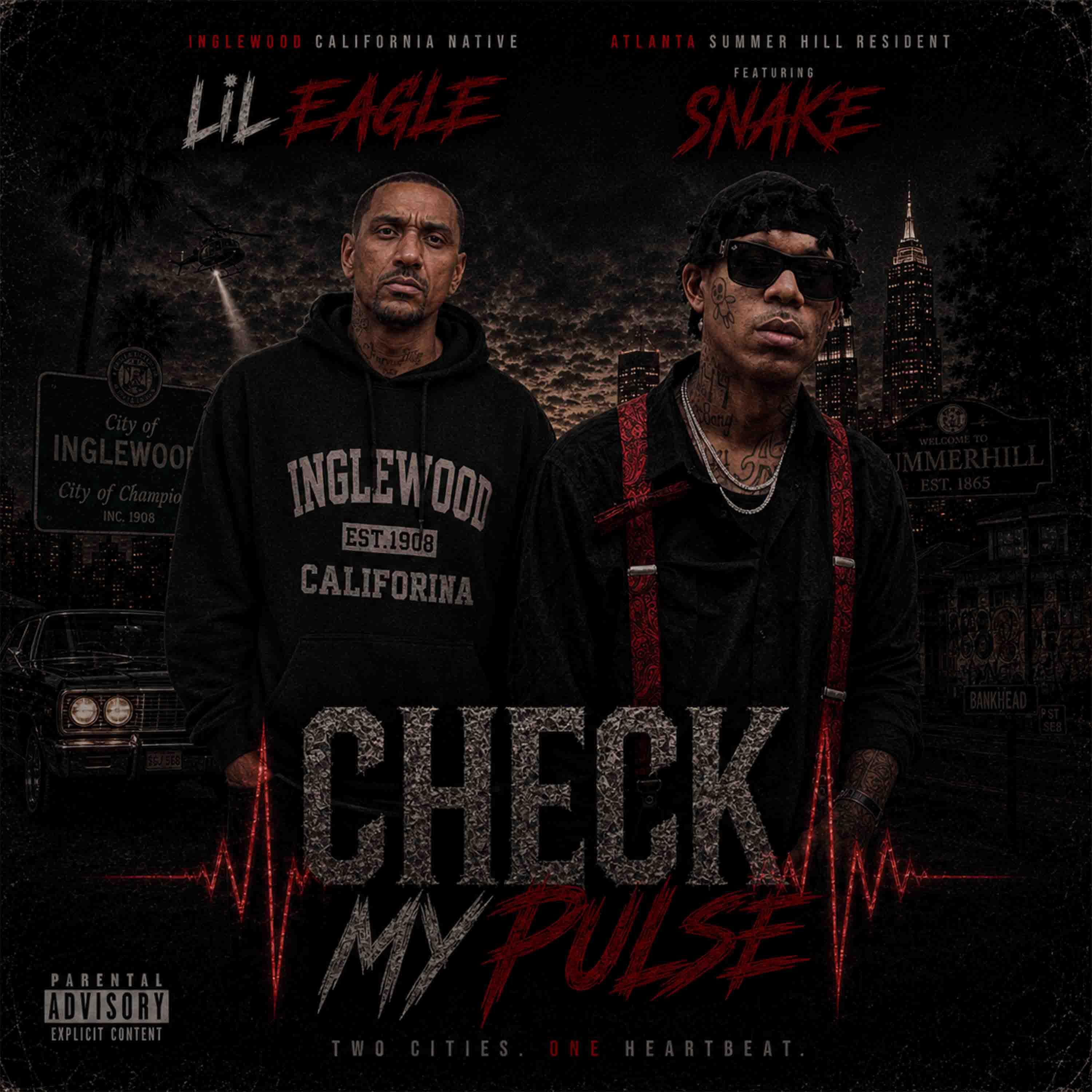 Релиз CHECK MY PULSE (feat. SNAKE)